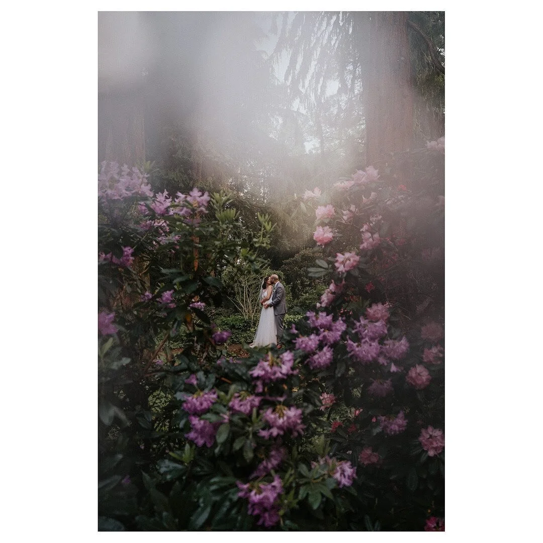 'This is a growing season... so bloom wild and untamed' 🌸
- butterflies rising
⠀⠀⠀⠀⠀⠀⠀⠀⠀
One more little sneak into the sunset shooting of Sarah and Akim's wedding last Saturday at &quot;Bunter Garten&quot; in M&ouml;nchengladbach. Felt like a dream