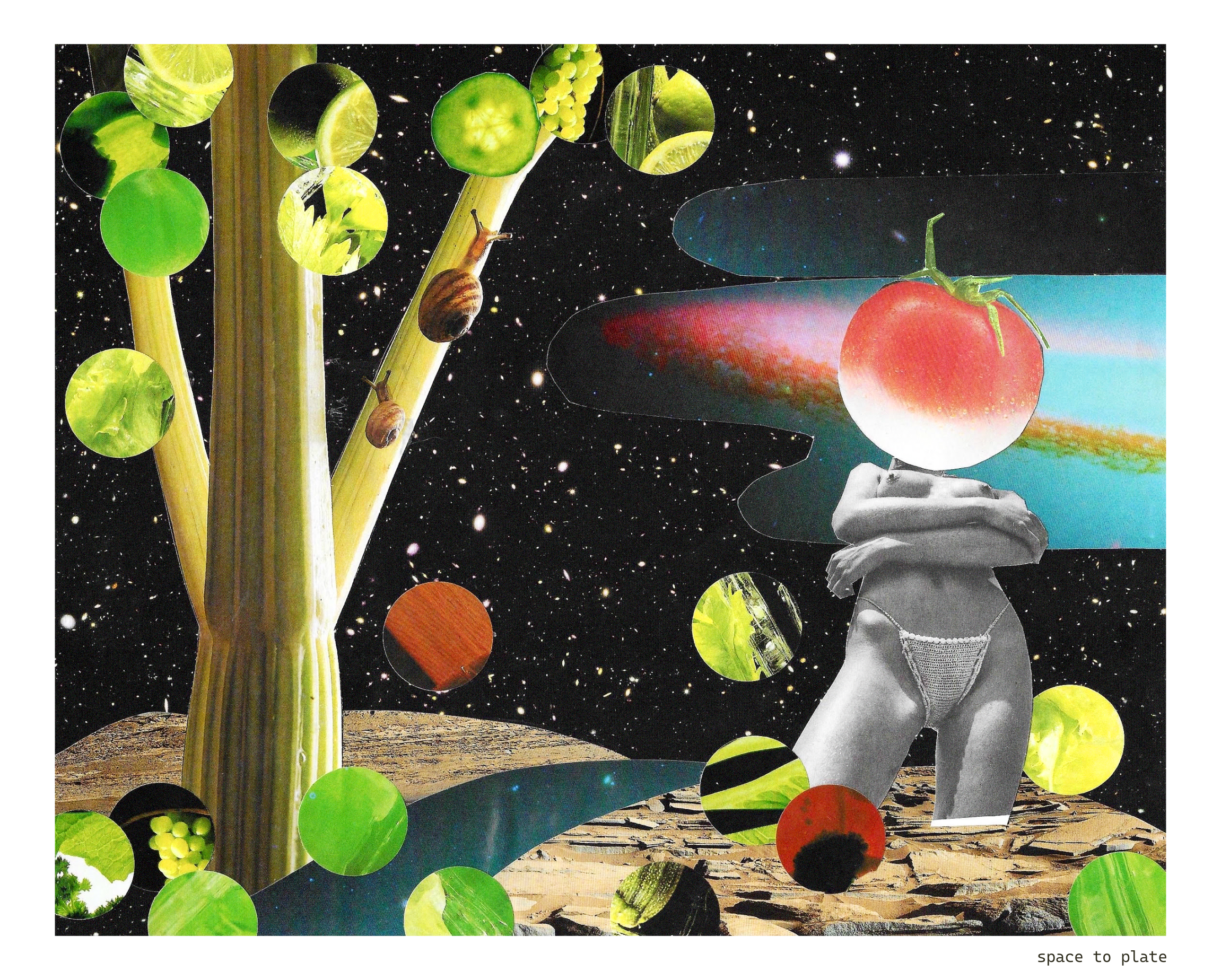 space to plate.png