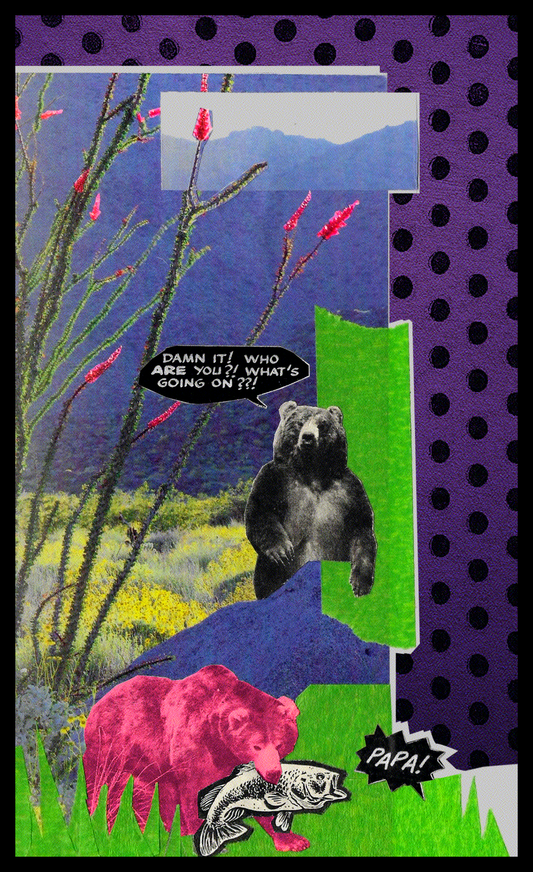 BEARS.png