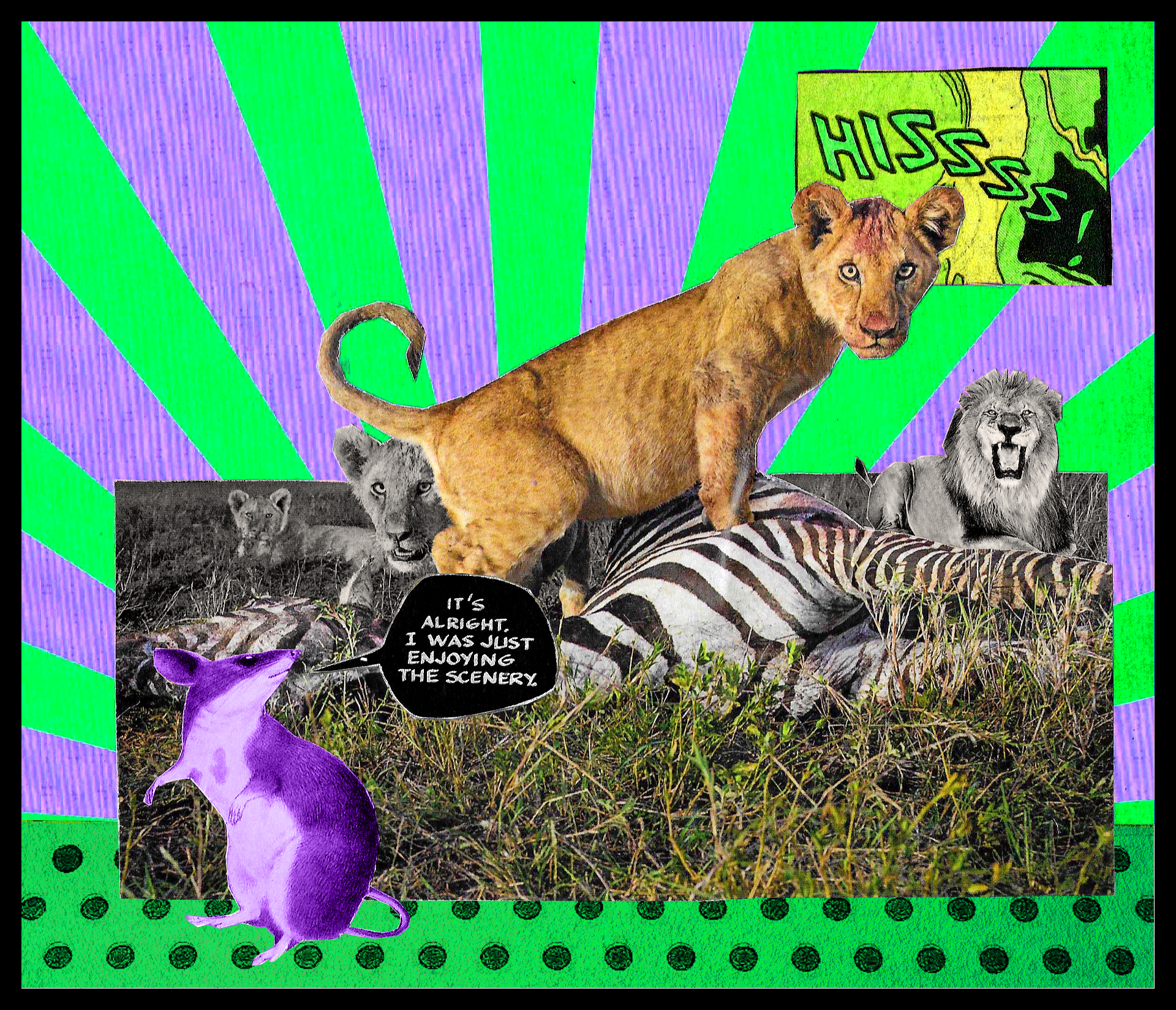 LIONS.png