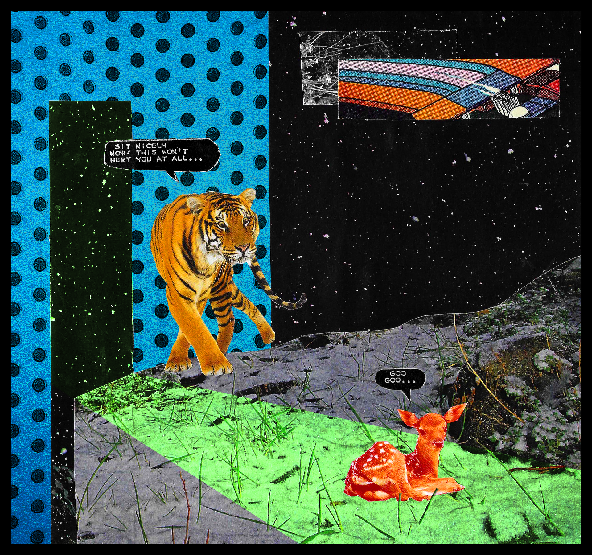 TIGERS.png