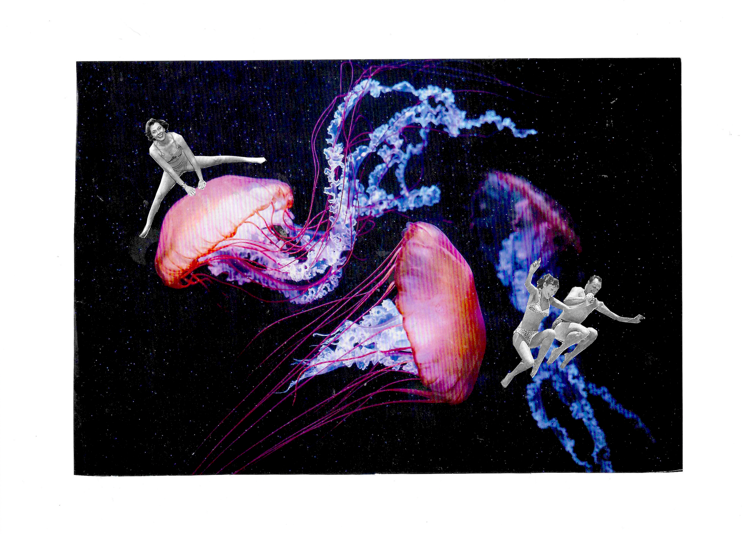 JELLY JUMP.png