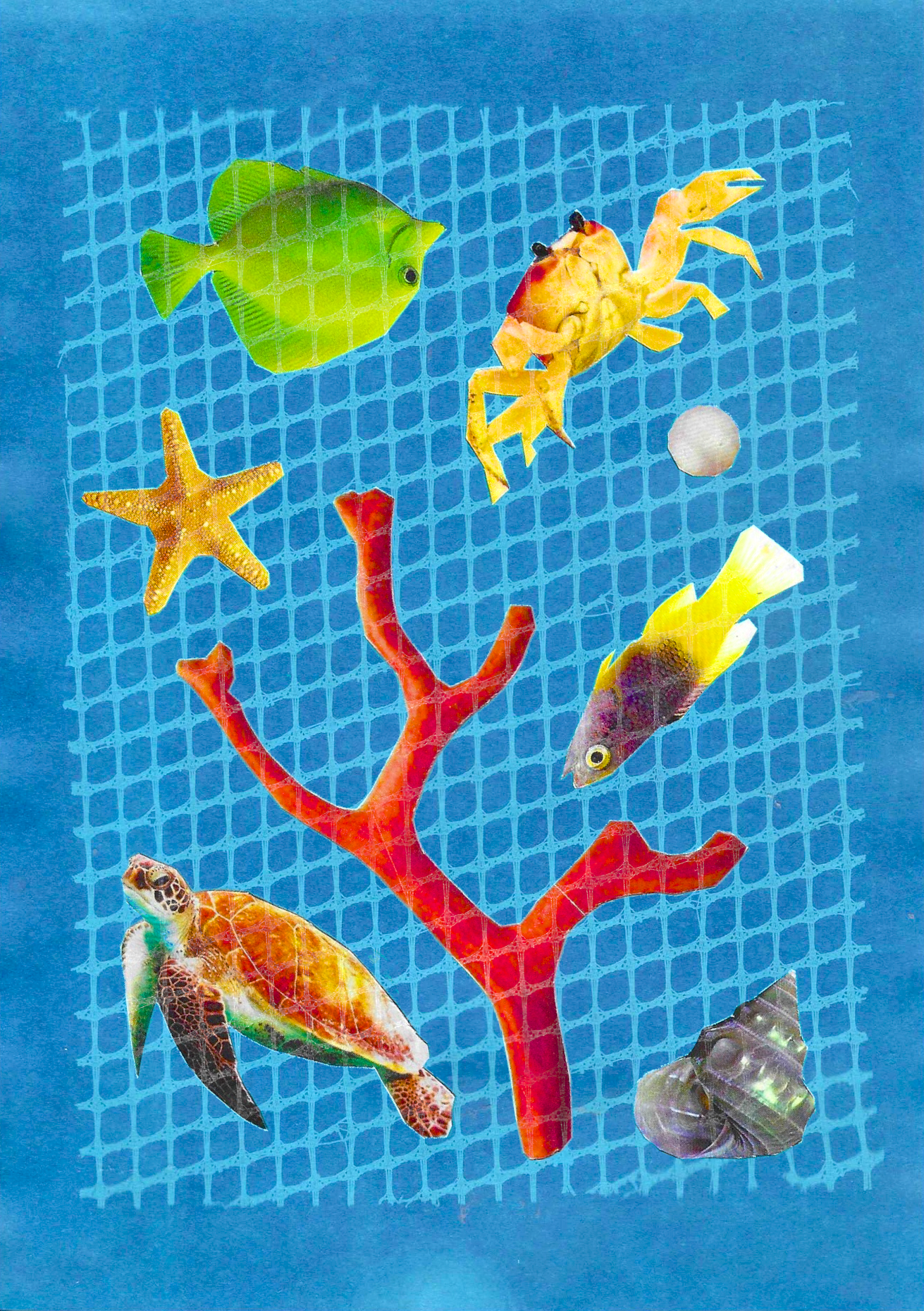 FISHNETS.png