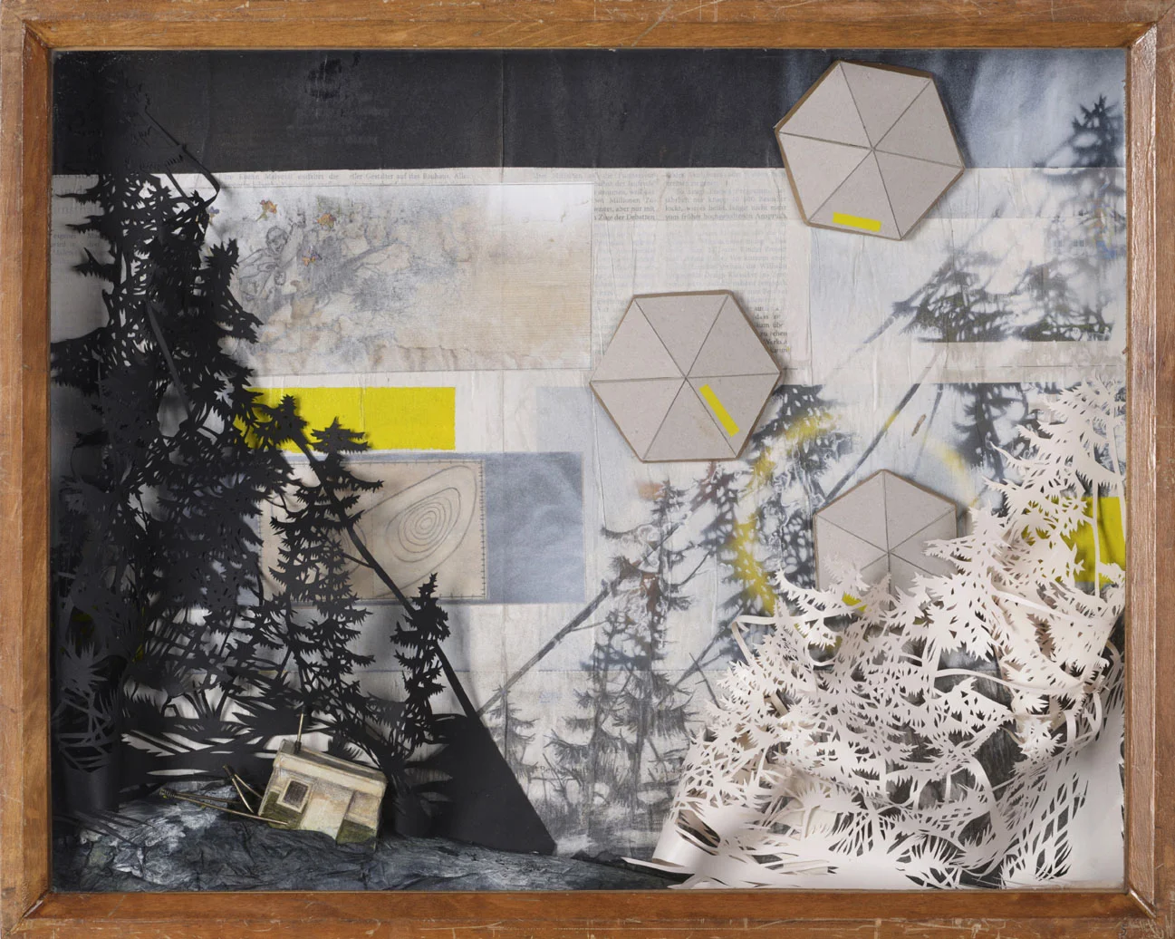 About the bees and the birds