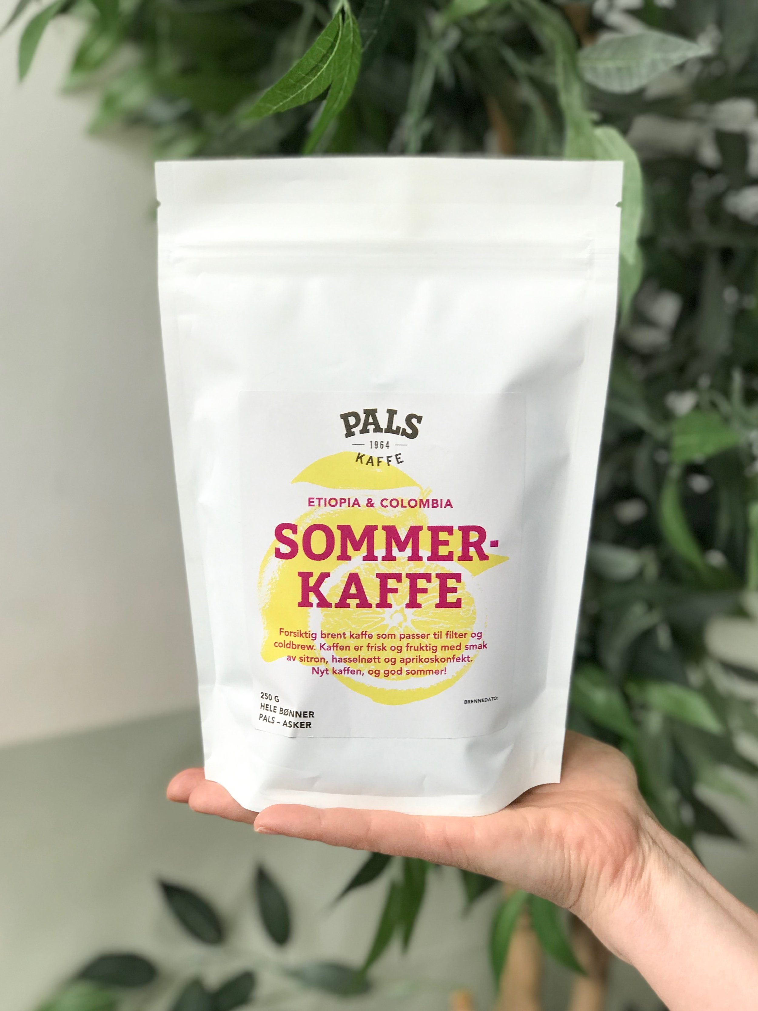 Coffee label for Pals Summer coffee
