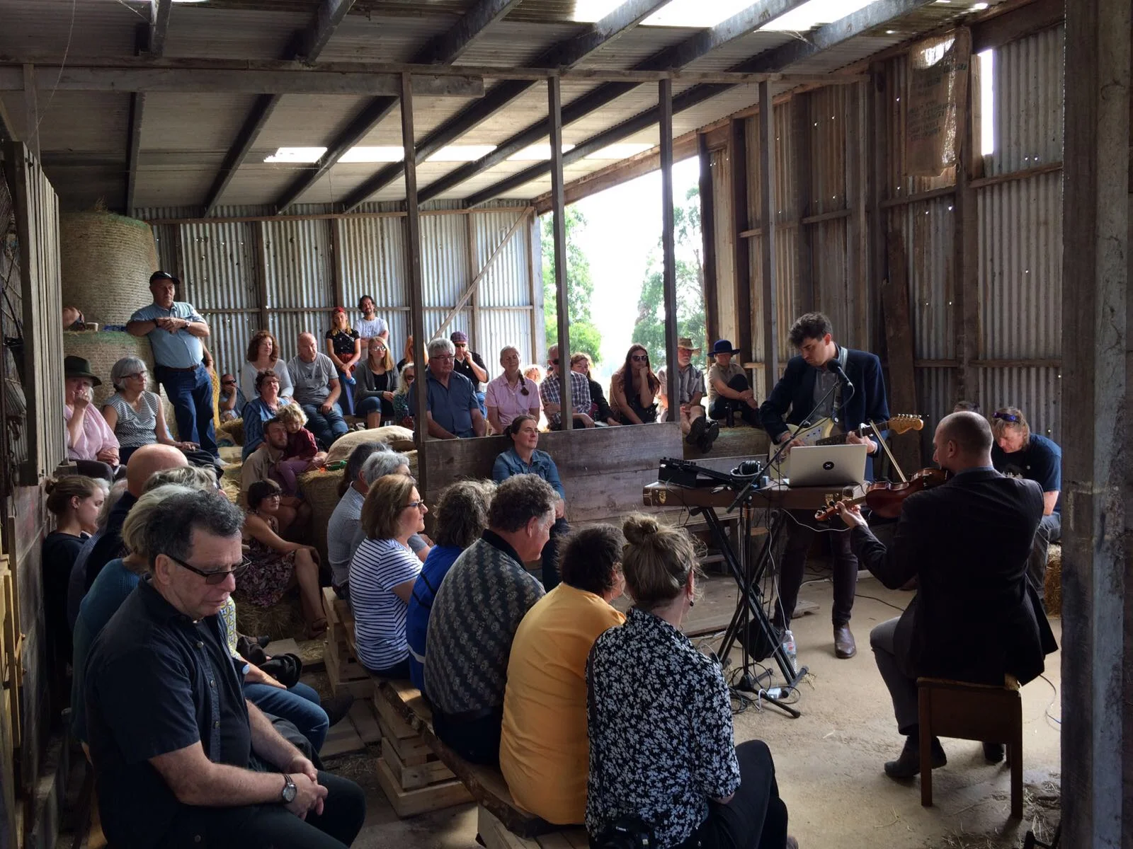 Acoustic Life of Sheds