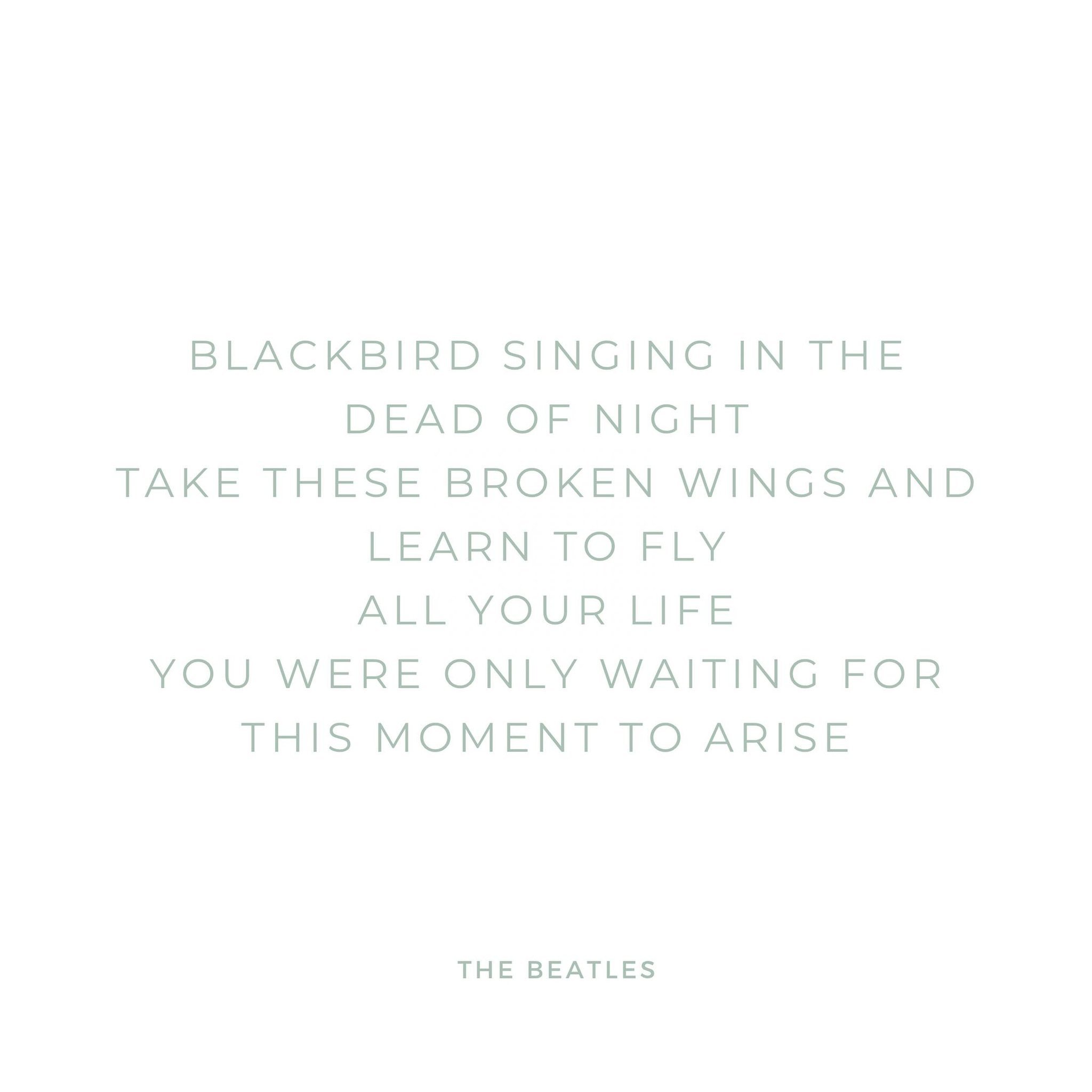 #blackbird