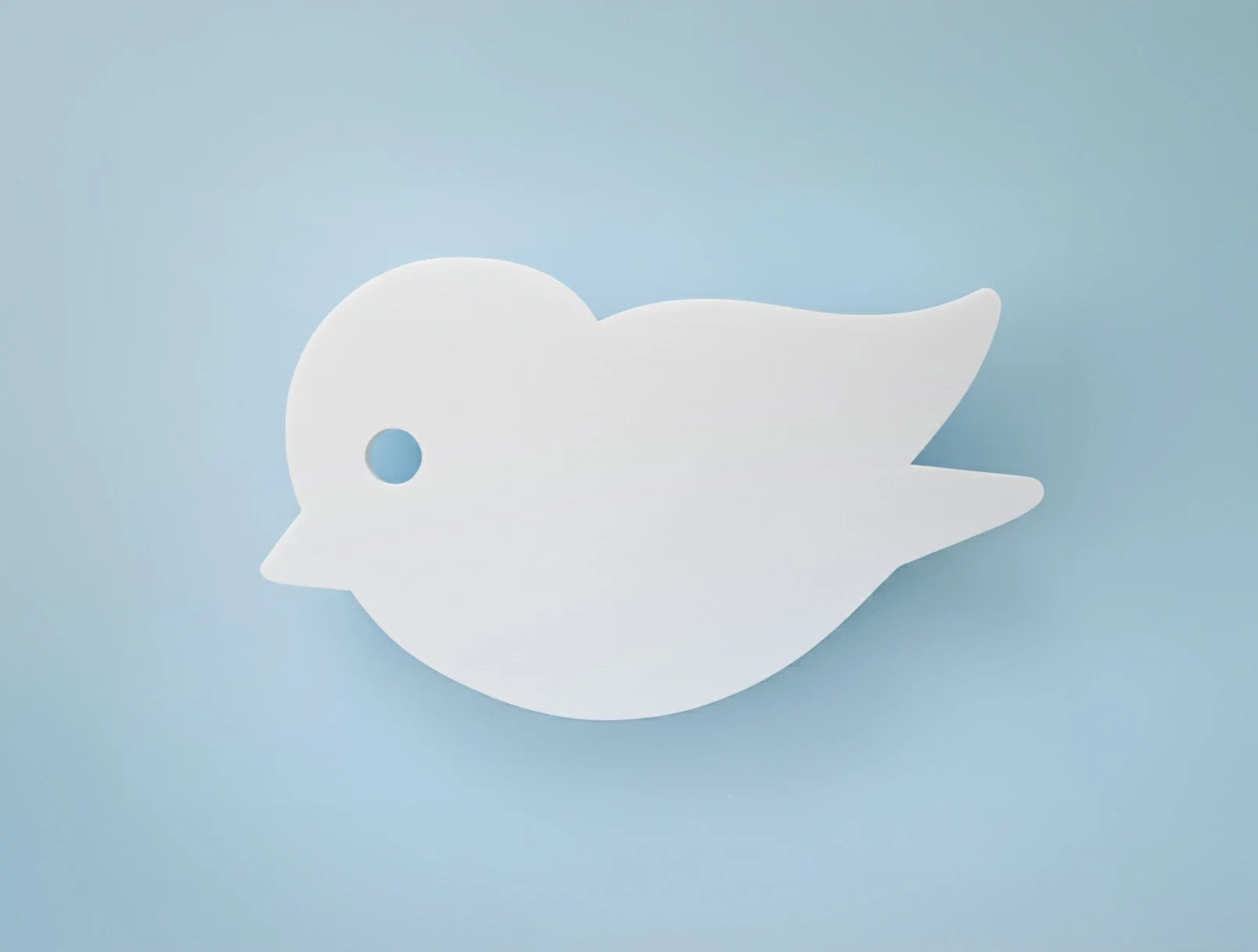 Acoustic Bird - on blue wall.jpg