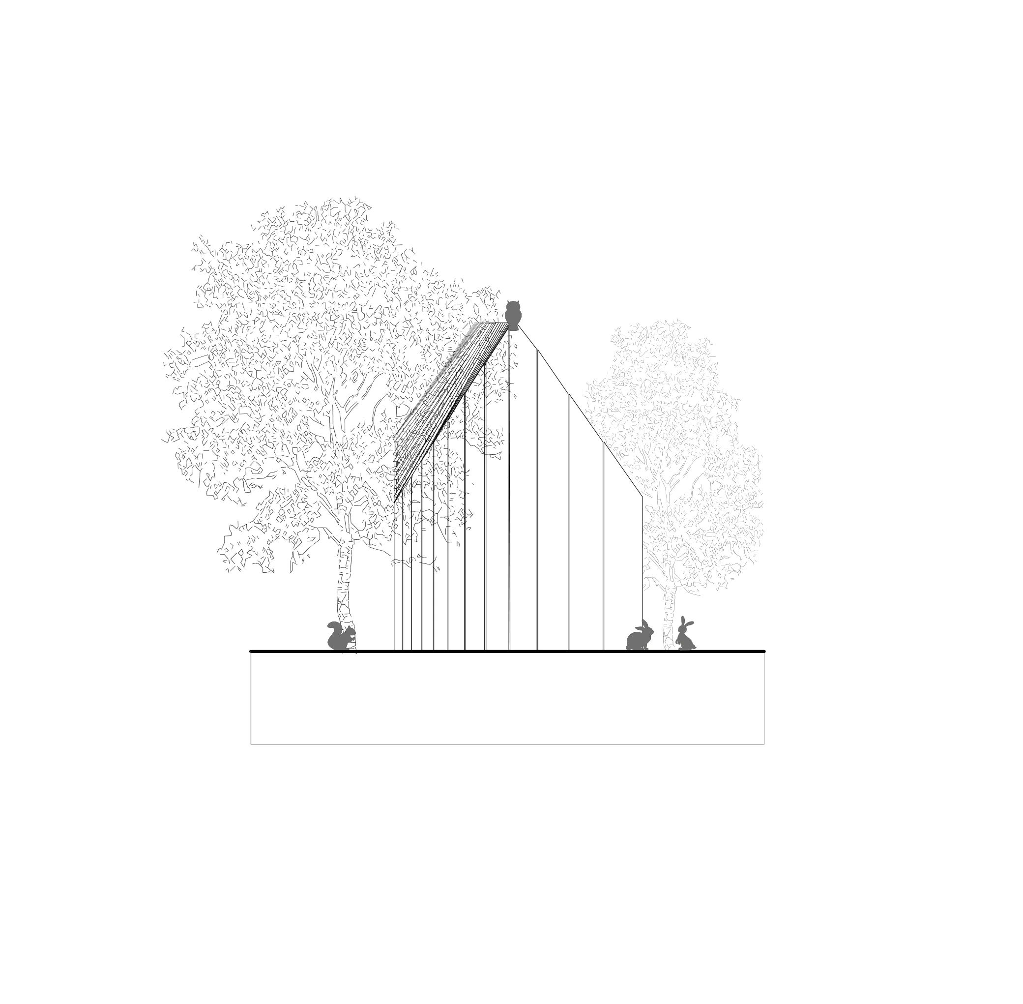 CABANE 3.jpg