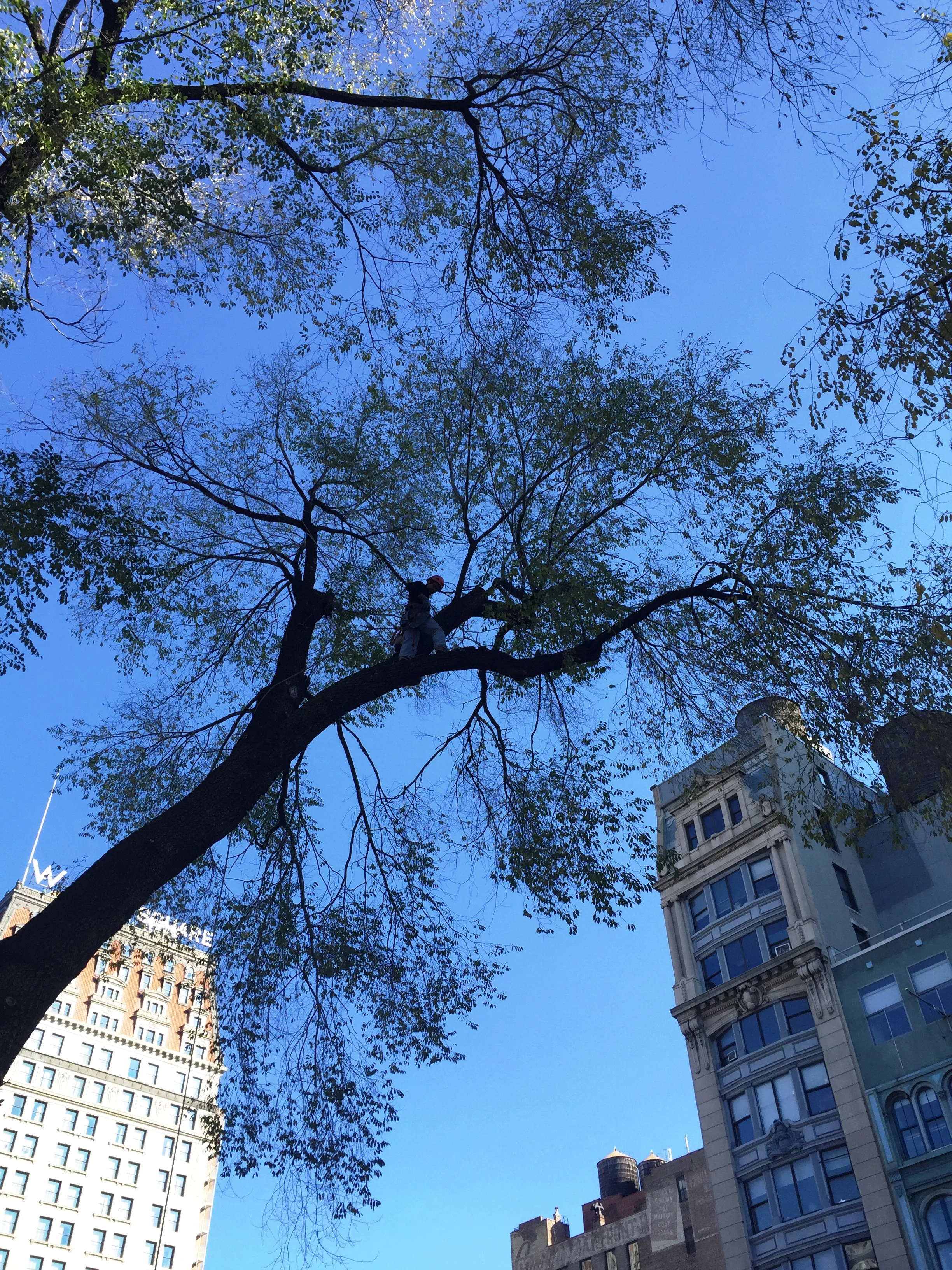 UNION SQUARE PARK4.jpg