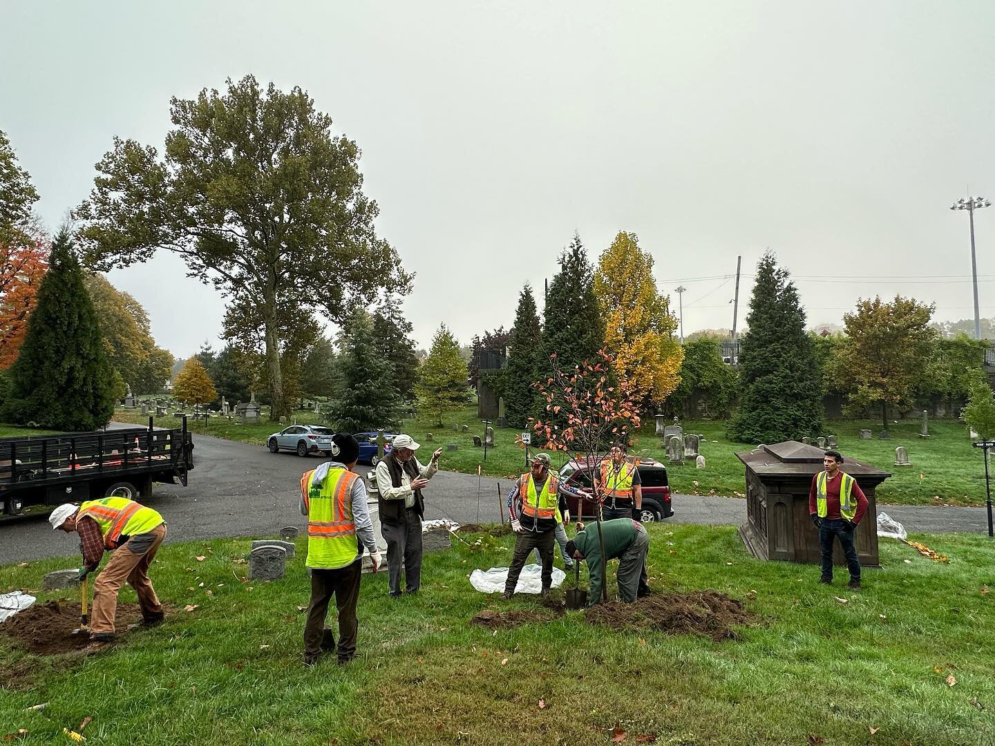 A beautiful foggy fall day for bare root planting at @historicgreenwood