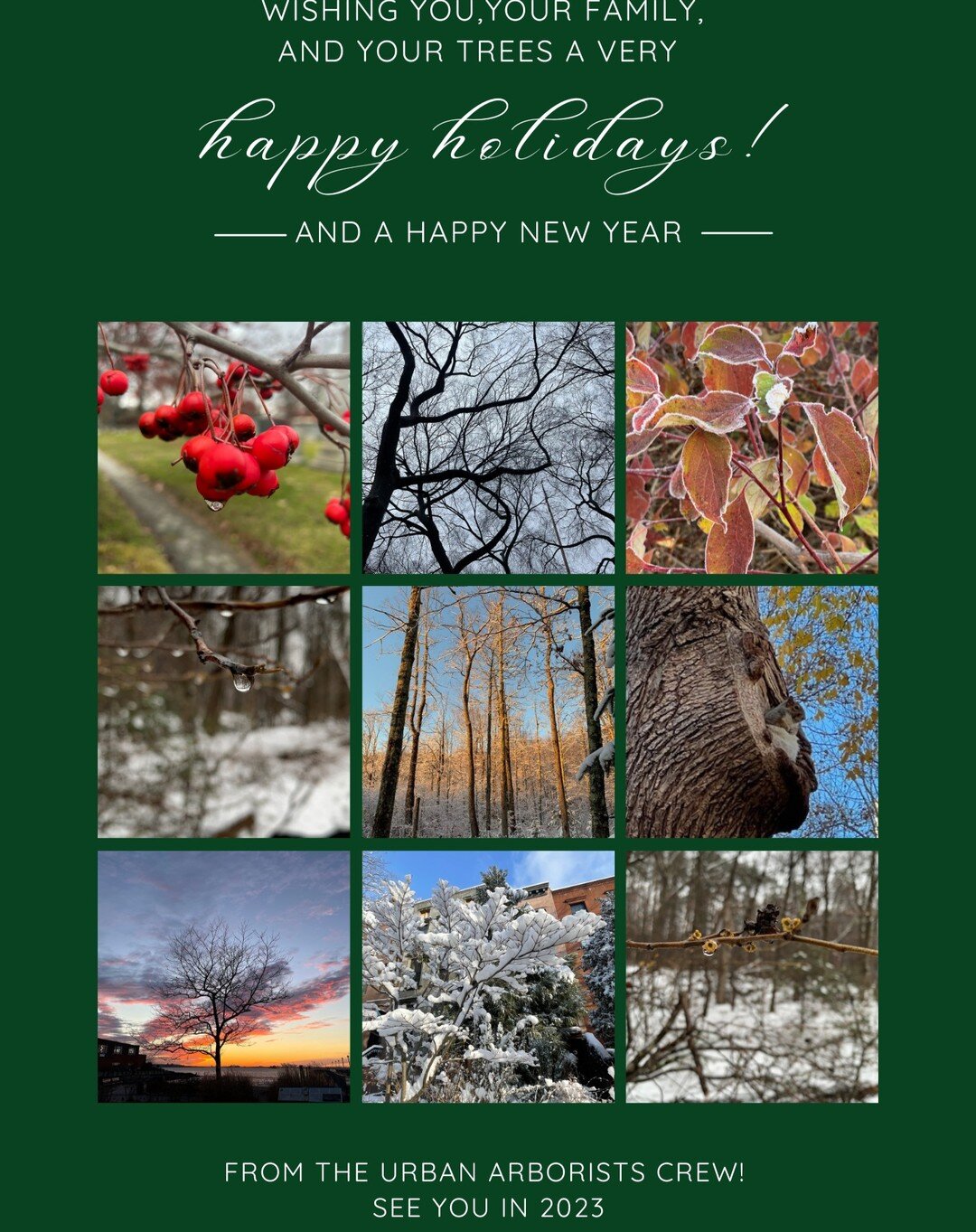 Happy holidays to all, from everyone at Urban Arborists.