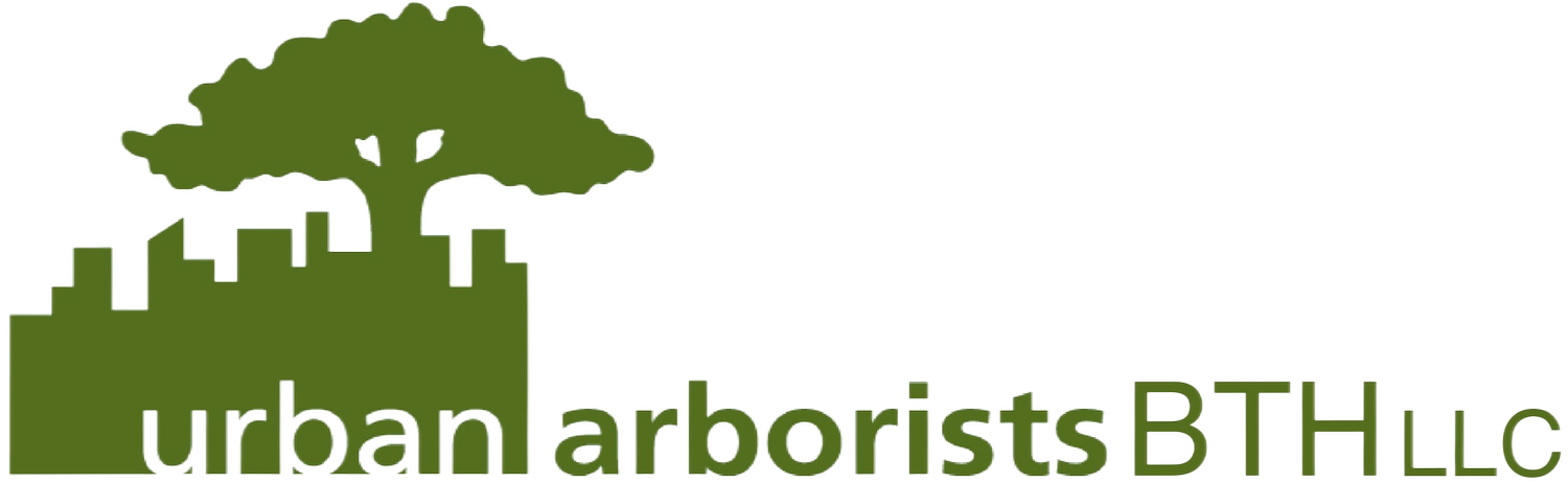 Urban Arborists