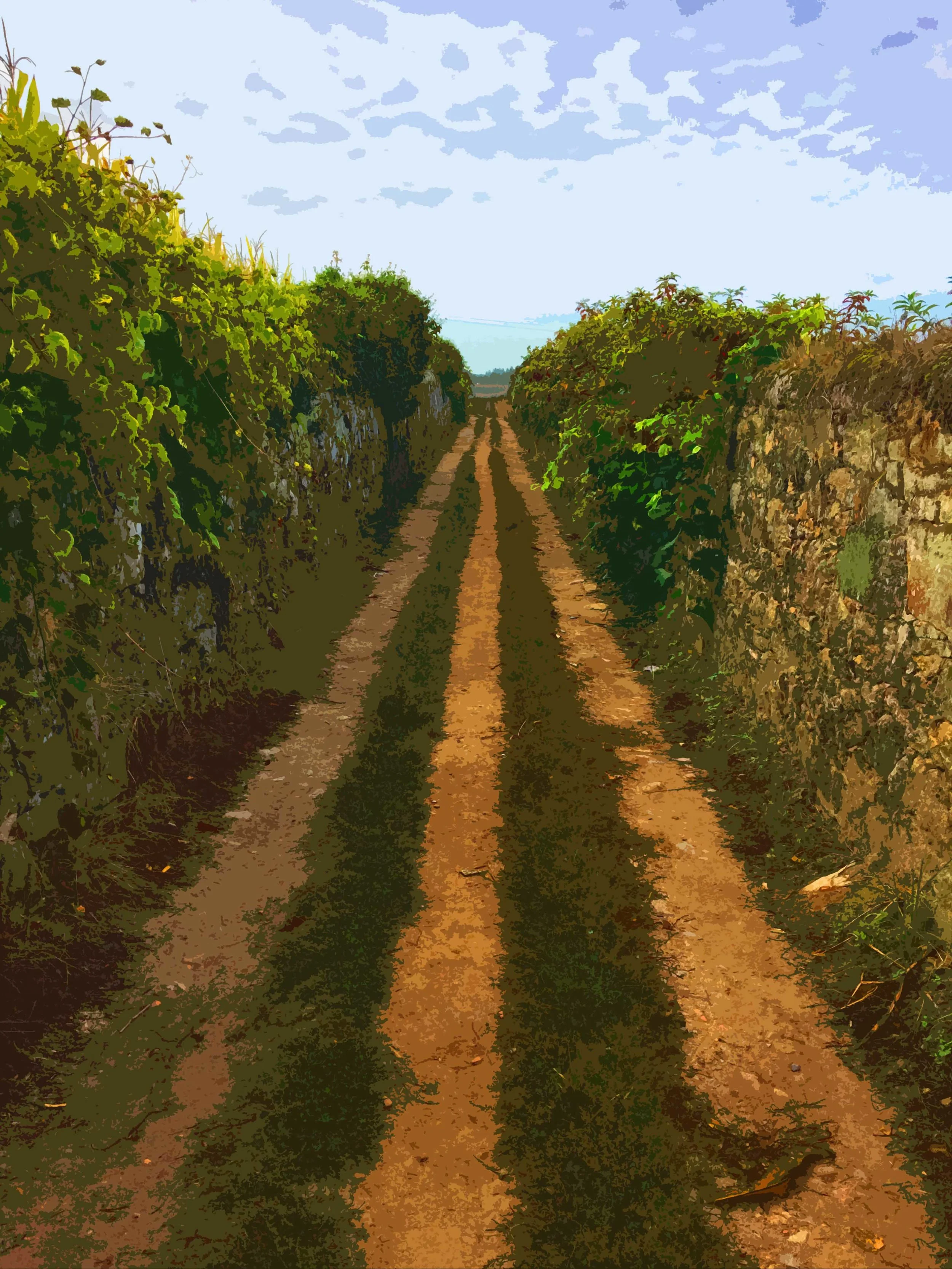 A spirit-guided life