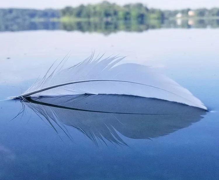 The Universe is So Kind