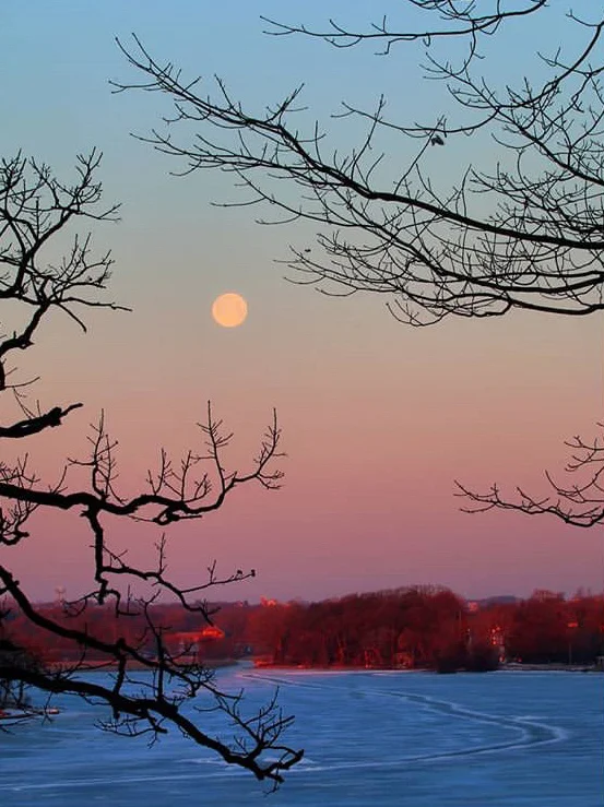 The Siren Call of Regret