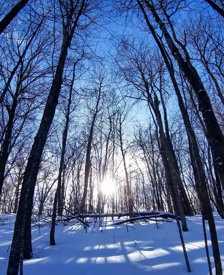 When Earth Looses Pleasure for Us ... Good-Bye Dad