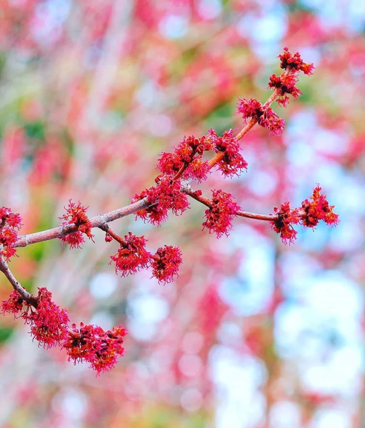 Yes, I'm Afraid ... and ...