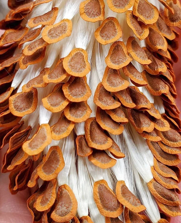 The Immutability of Love - "Where Did the Love Go?"