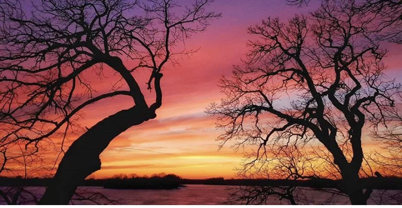 Do We Have Your Attention Yet? 