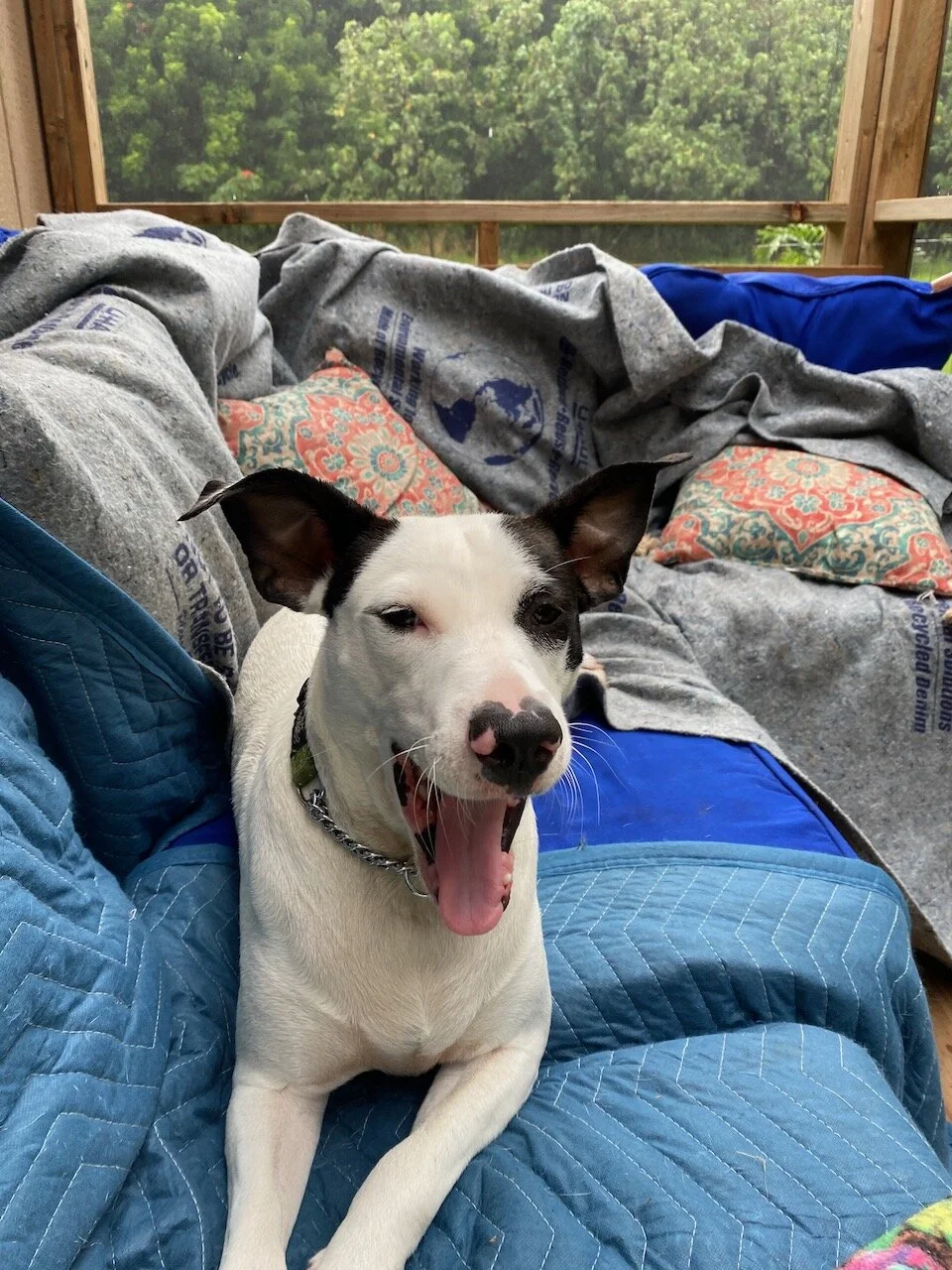 "Okay, Okay, I'm awake!"     now ... "Who the F#@k am I?"  