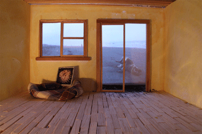 Dead Dog Beach