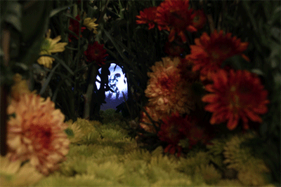 Dance Amongst the Flowers