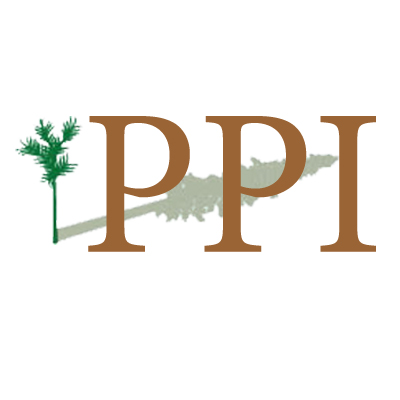 logo-PPI.jpg