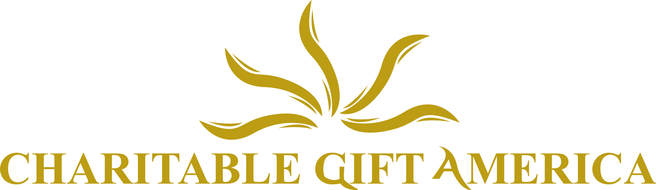 logo-charitable-gift-america.png