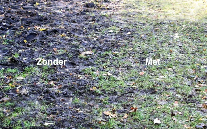 voorbeeld2.jpg