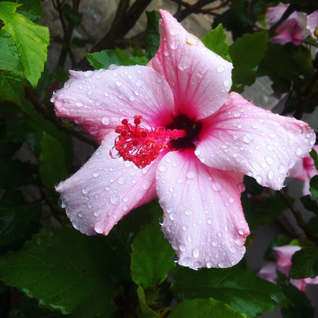 All are welcome in this place...