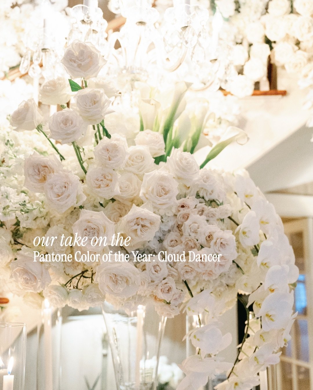 Every year brings a new Color of the Year, and this year&rsquo;s Cloud Dancer is proof that how it&rsquo;s used is what makes it feel timeless. 

We love taking inspiration from the palette and weaving it in thoughtfully, so each detail feels elevate