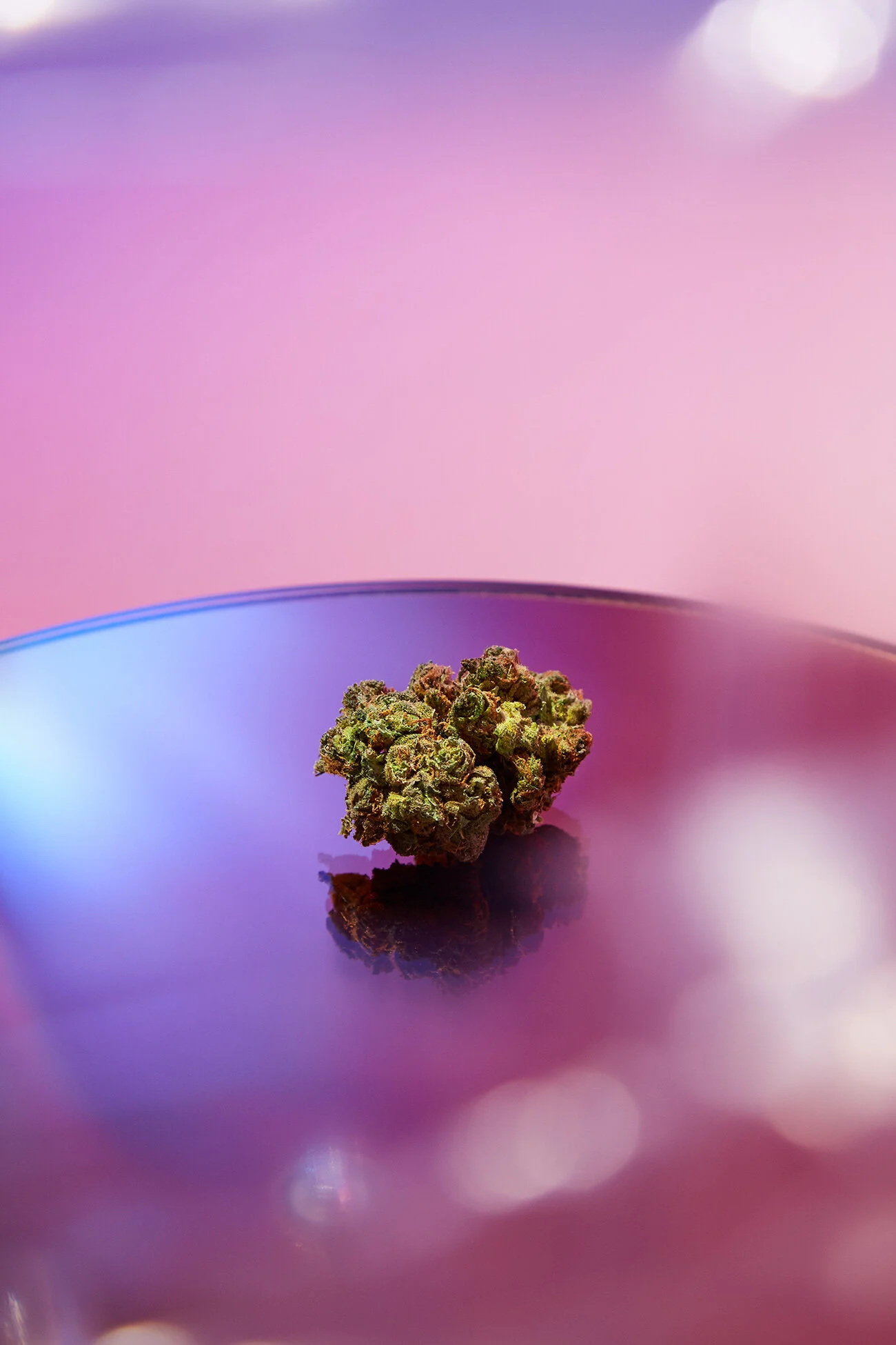 TokyoSmoke_Holiday2019_SHOT_17_BUDD_CLOSEUP_02-MAIN.jpg