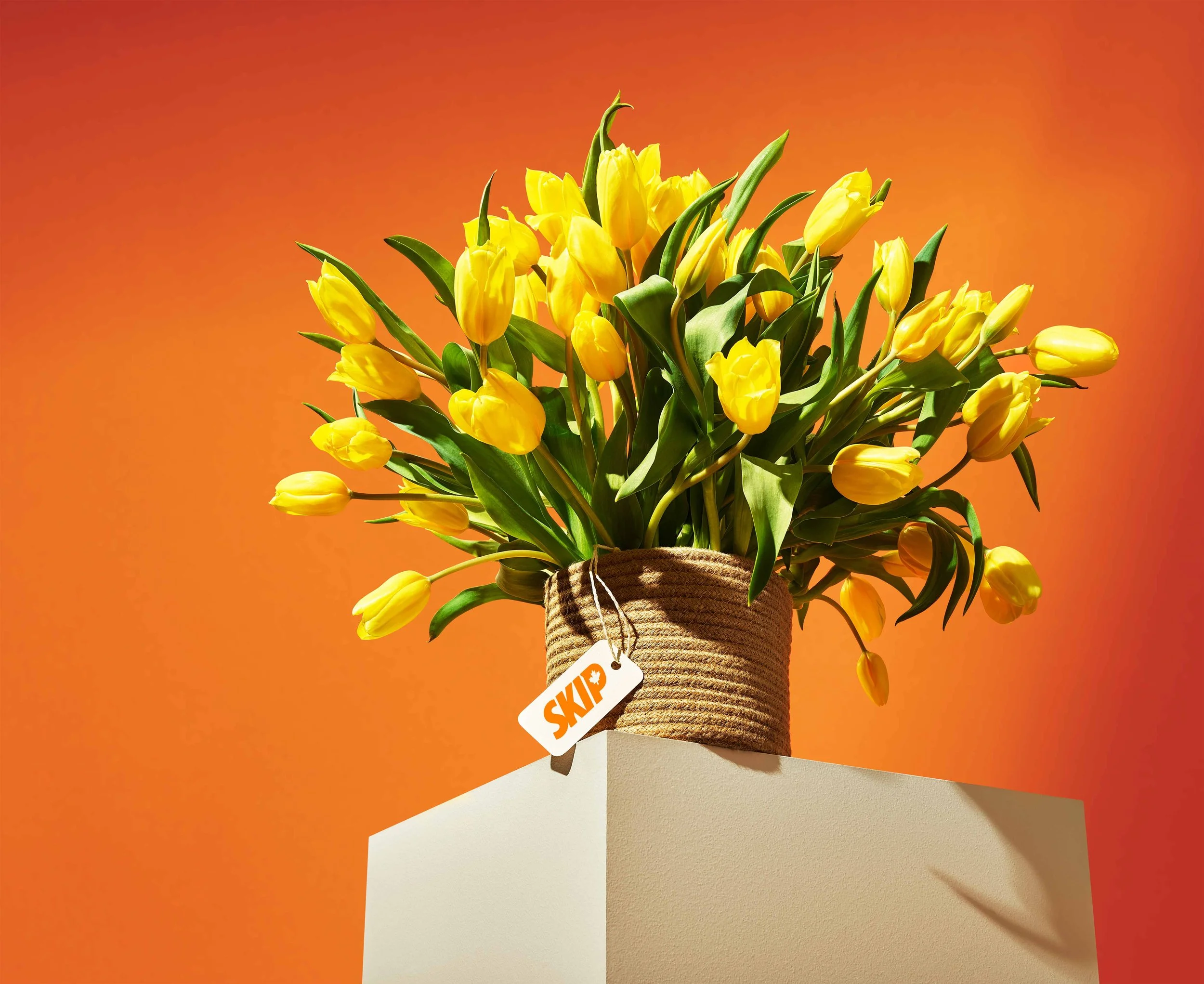 Skip_RS_FLOWERS_90455_HERO-V4.jpg