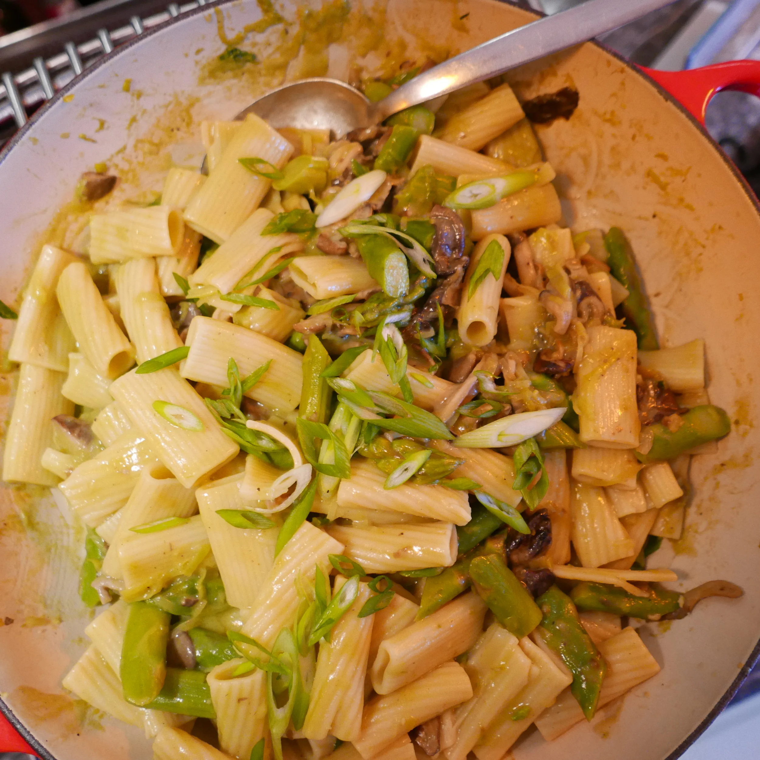 The RIgatoni! 