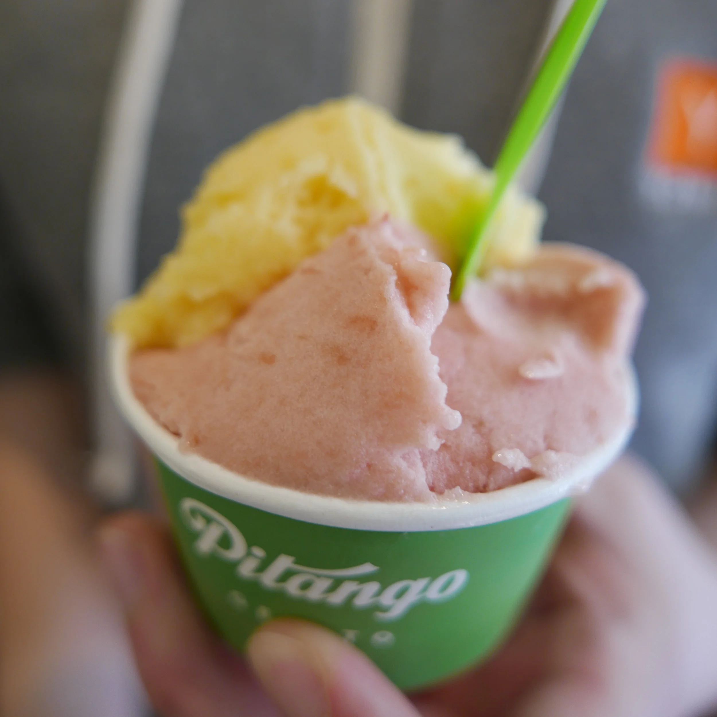 Rhburb and mango 