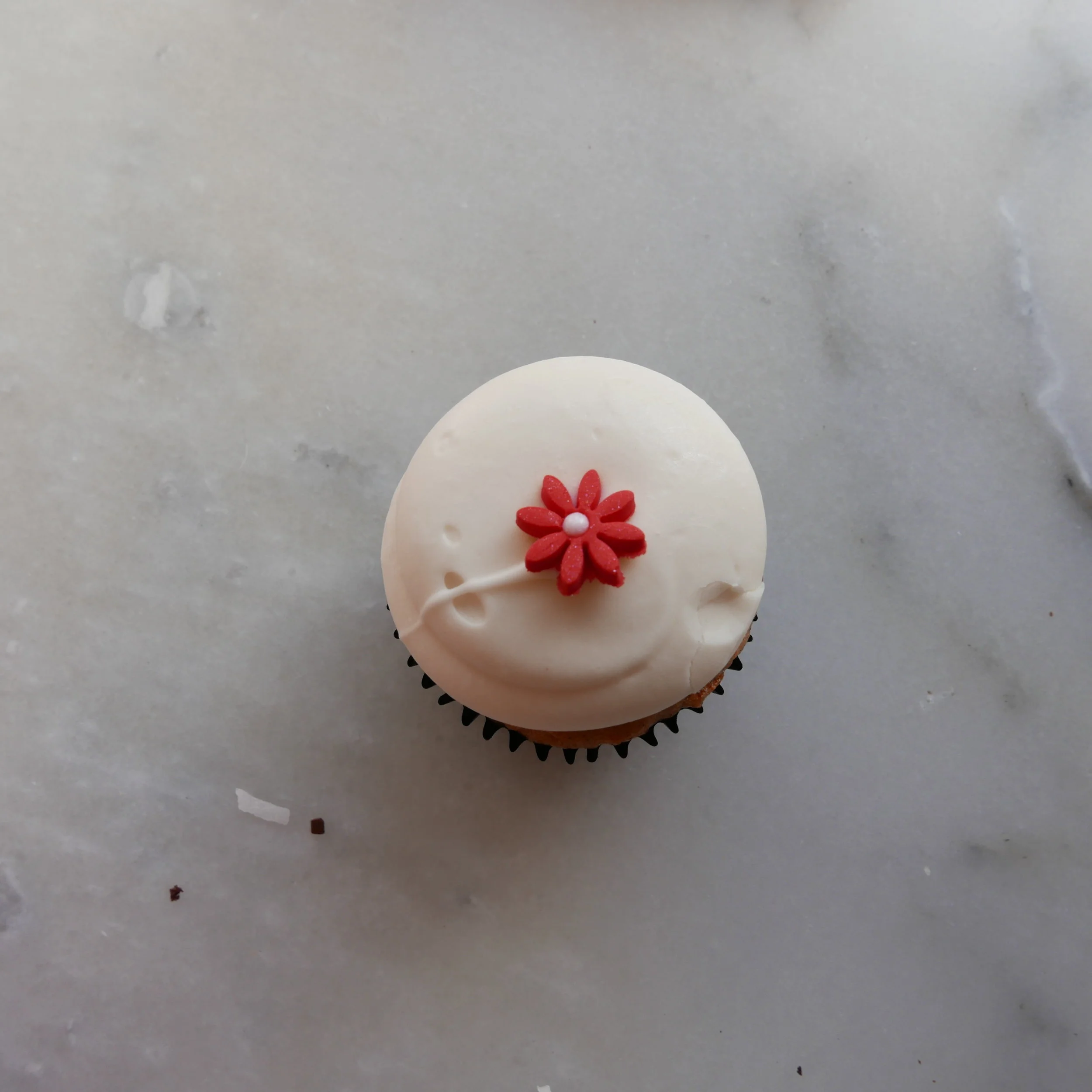 Vegan Cupcake