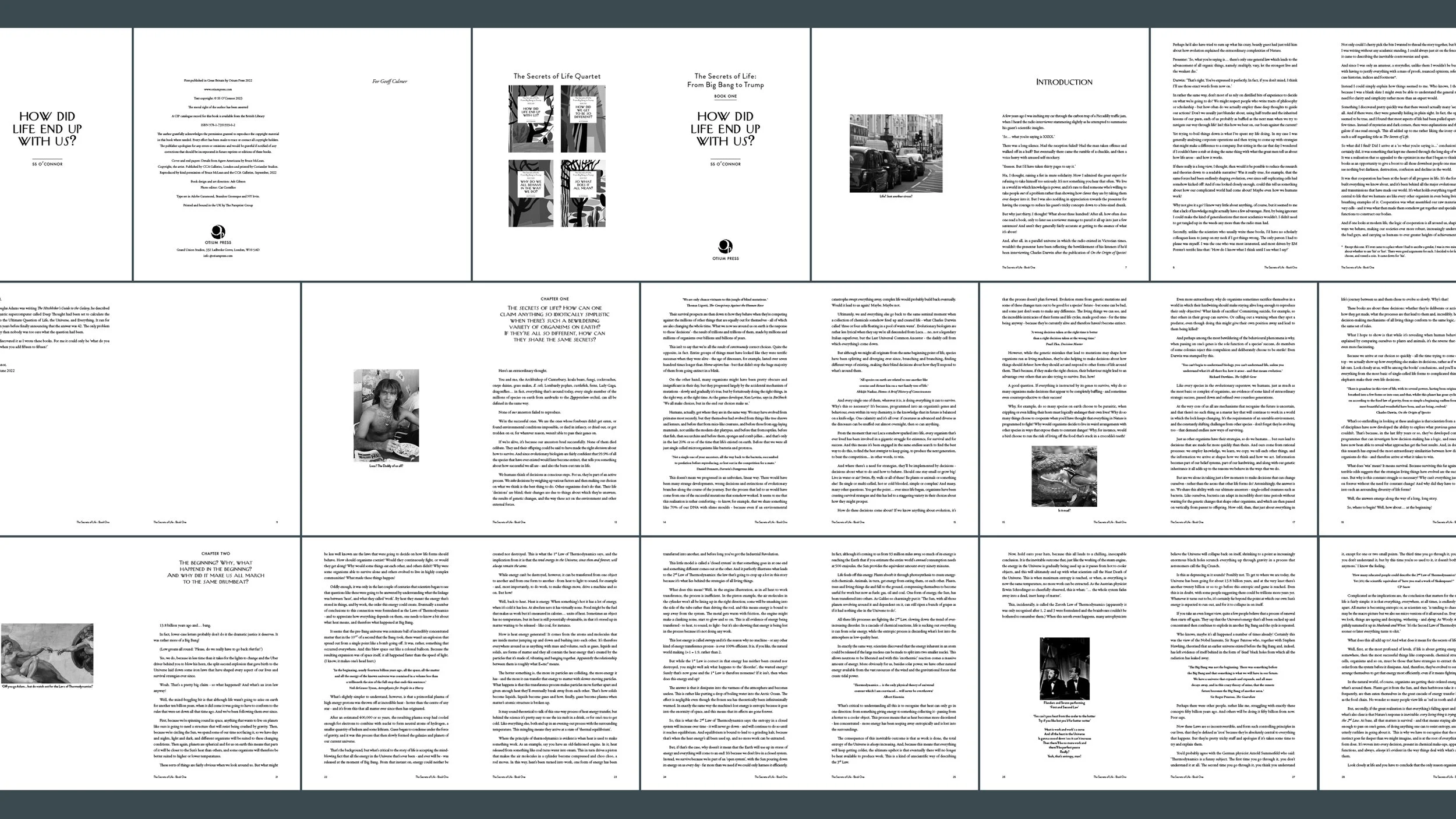 SoL_bookscase study_v1_4.jpg