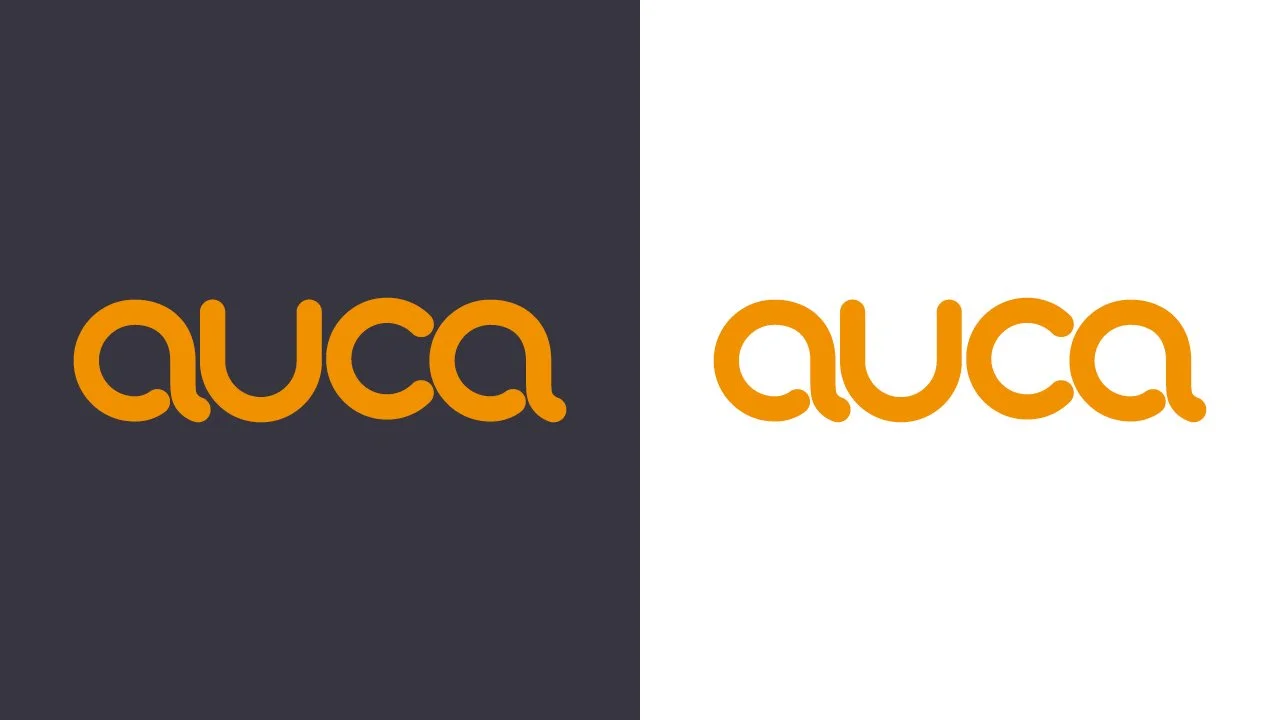 auca_case study_v12.jpg