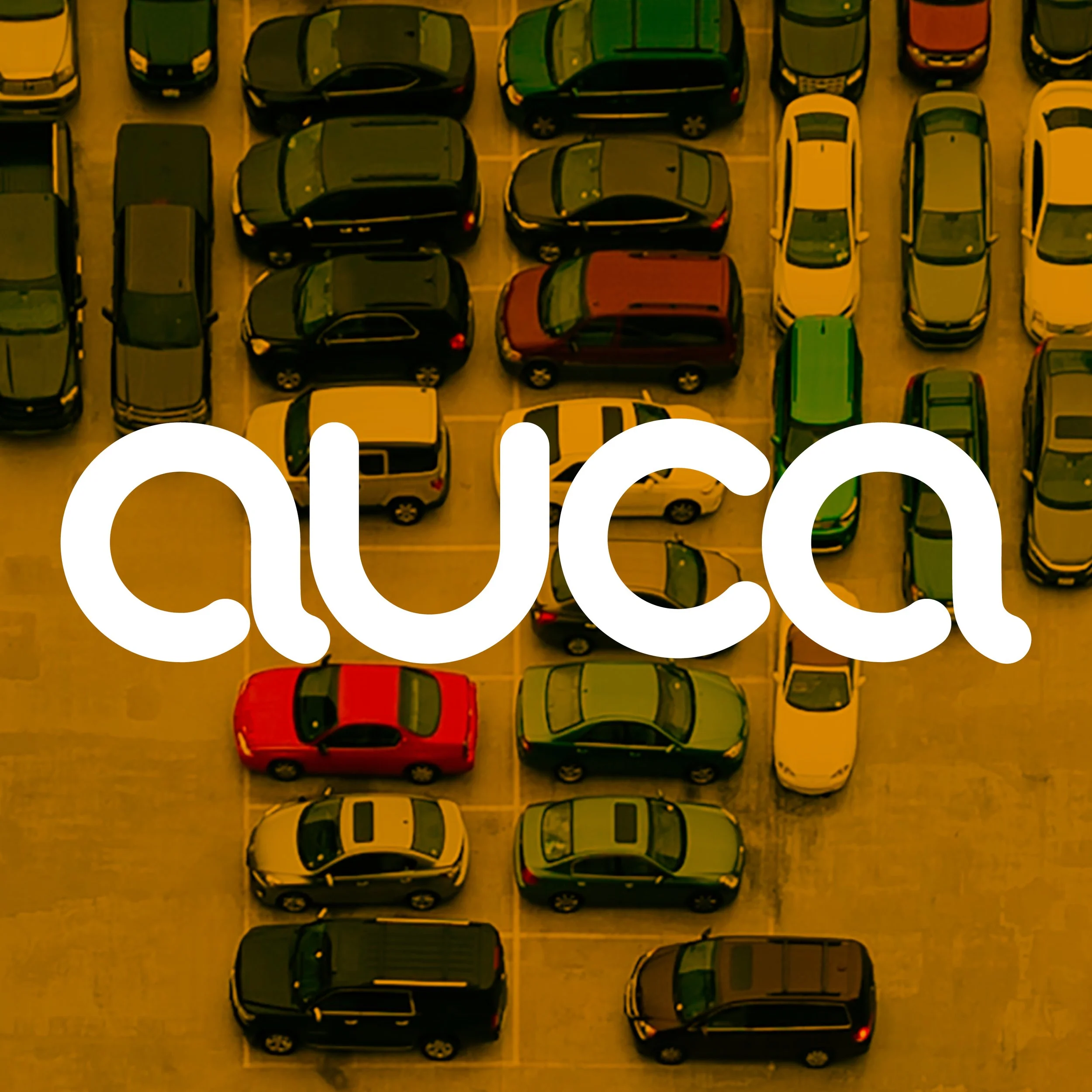 auca_case study_v1_HIRES_.jpg