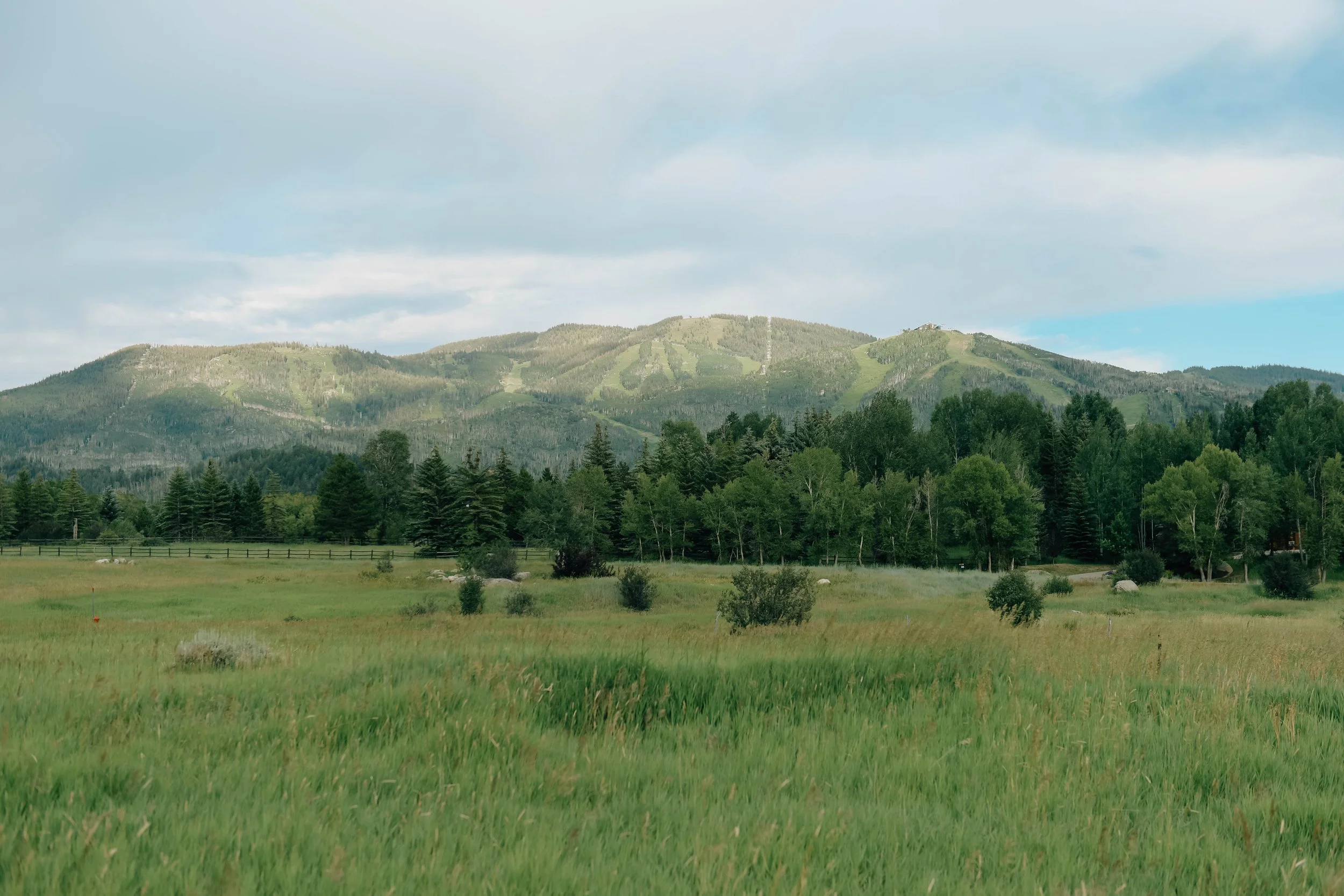 The Ultimate Insider Guide to Summer in Steamboat Springs (+ Family Photos—of course)