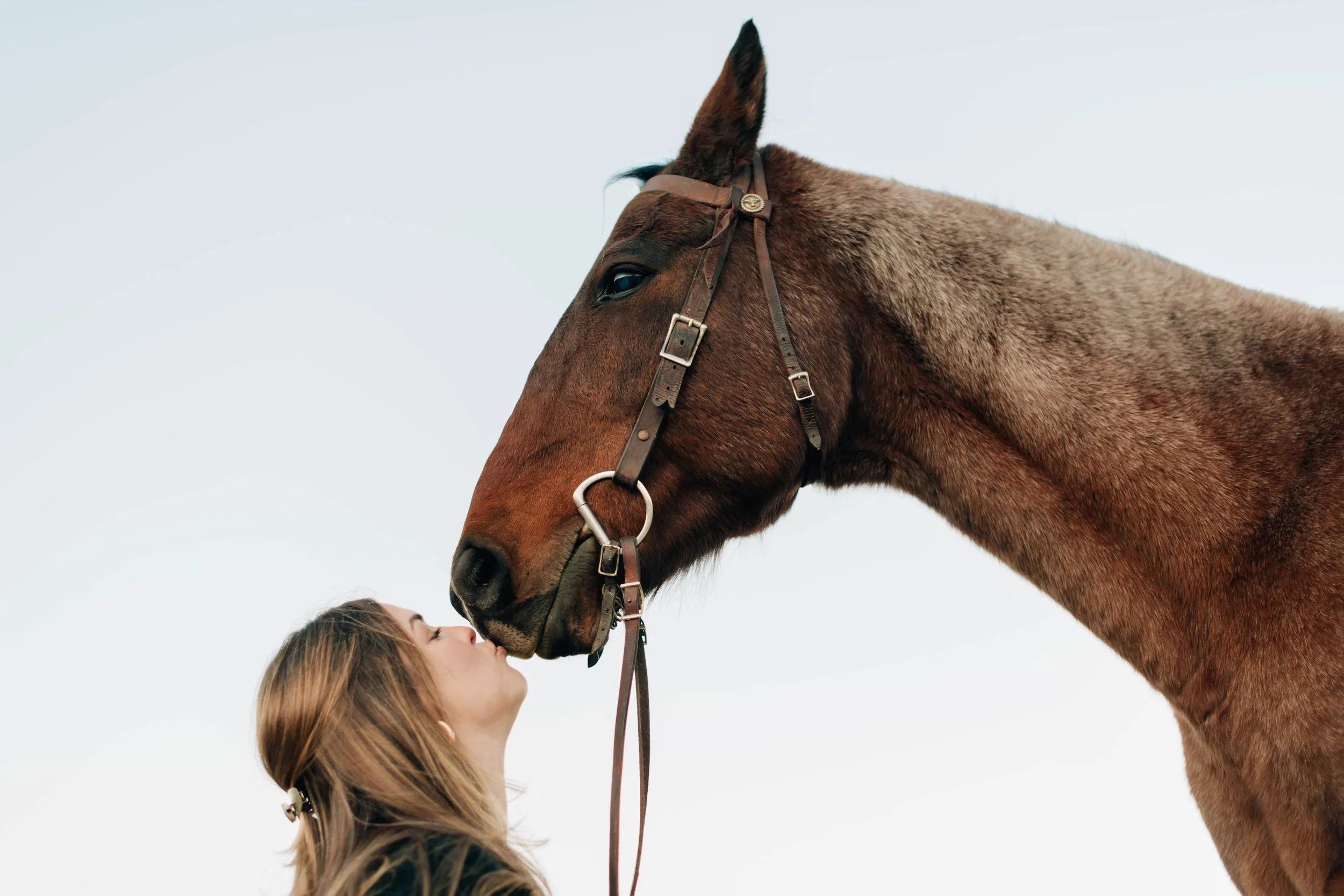 Steamboat springs Photographer