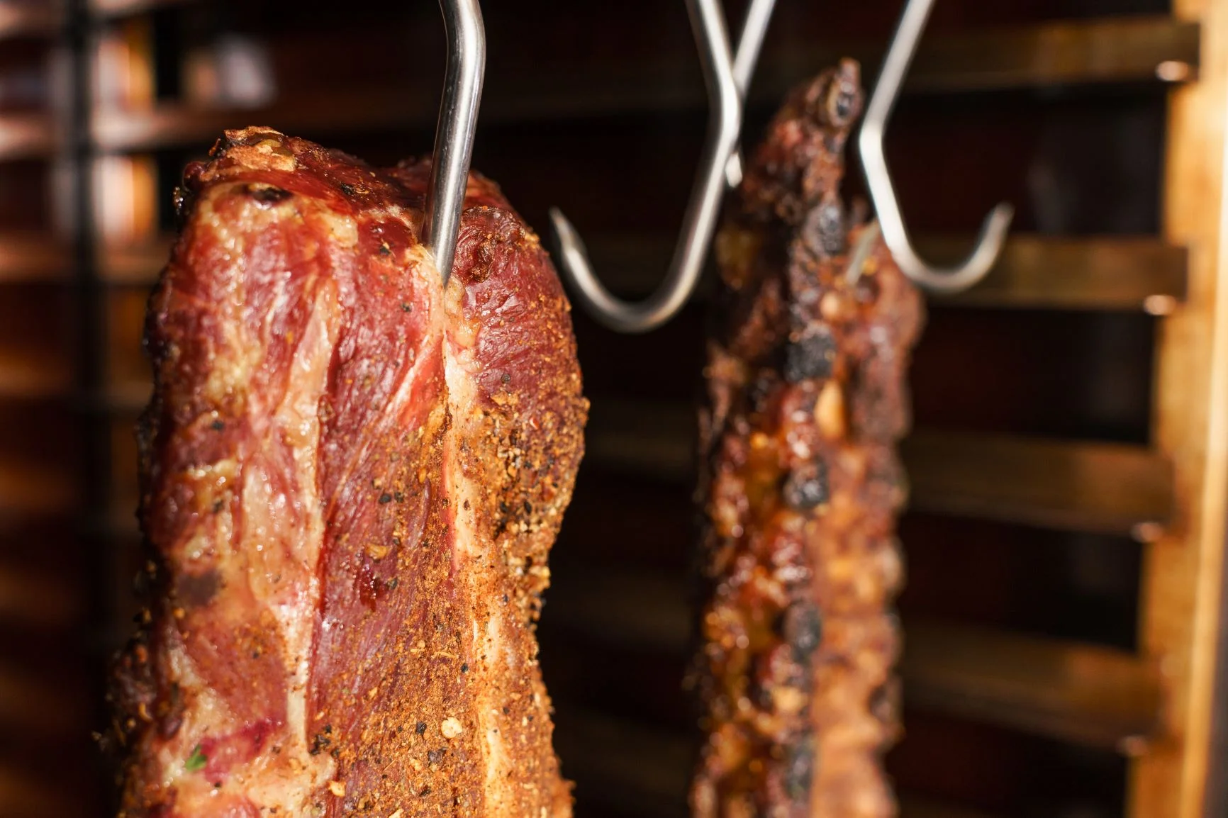 RIbs Close Up Reduced.jpg