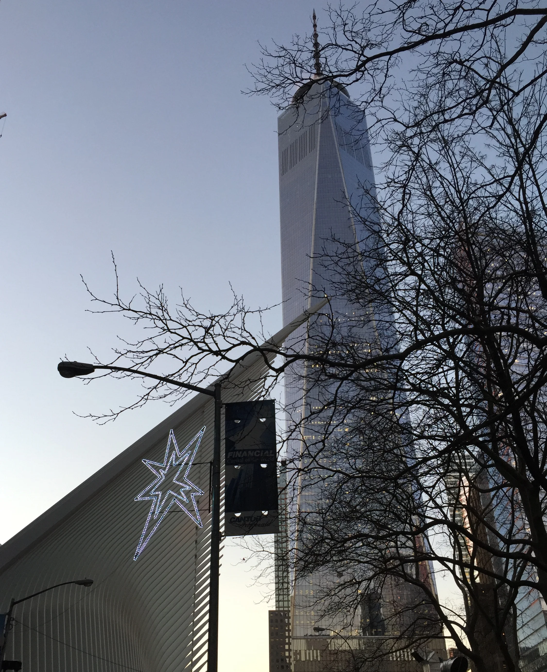 Alliance for Downtown NY: Holiday Light