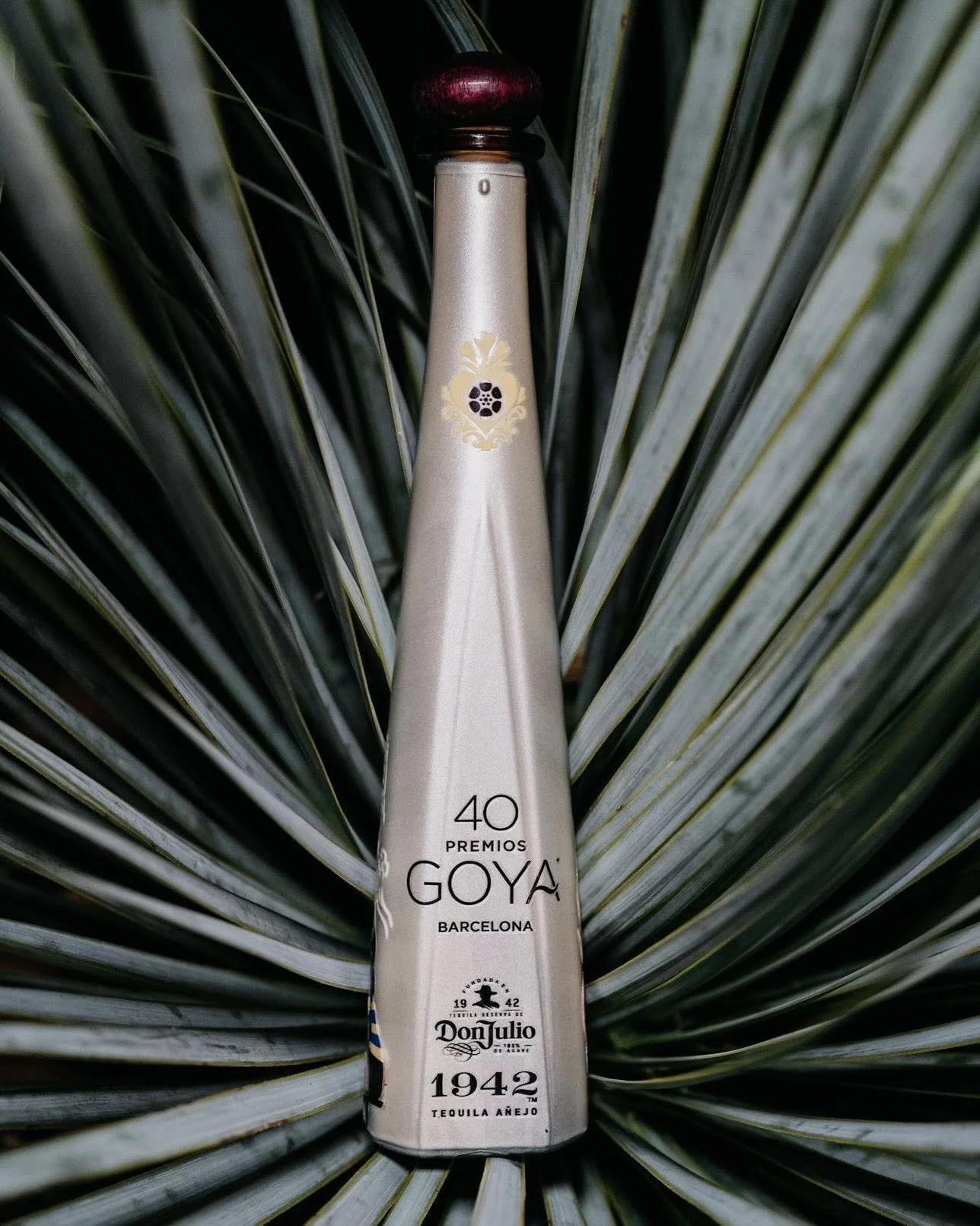 40 Premios Goya (Don Julio)