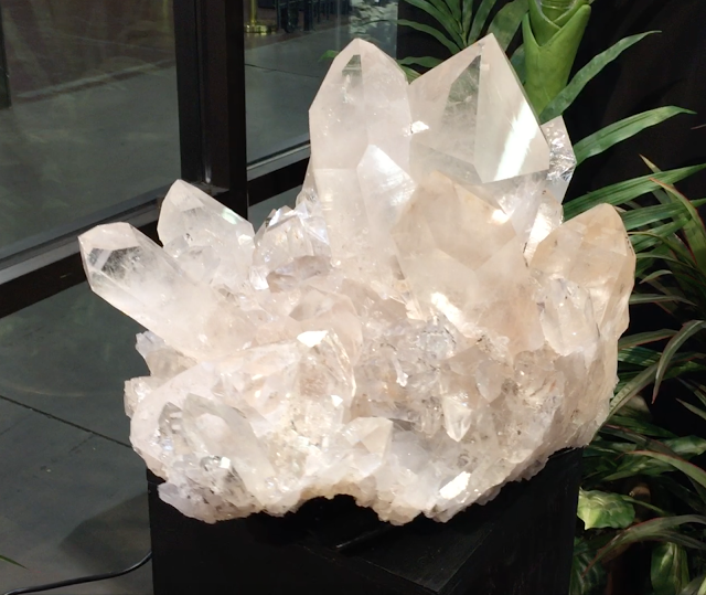 FIELD TRIP: TUCSON GEM & MINERAL SHOW