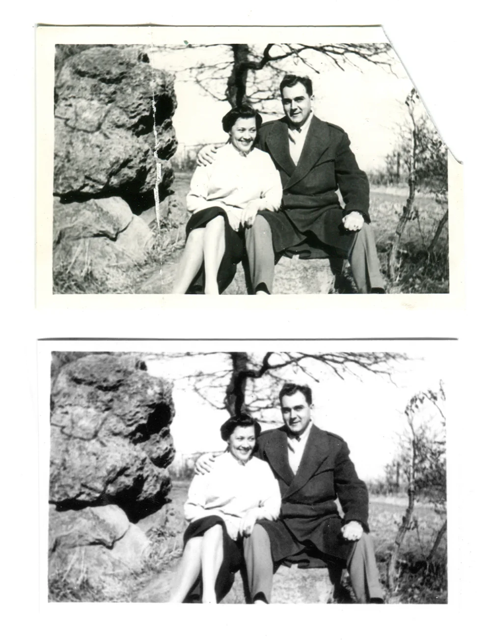Restored Memory