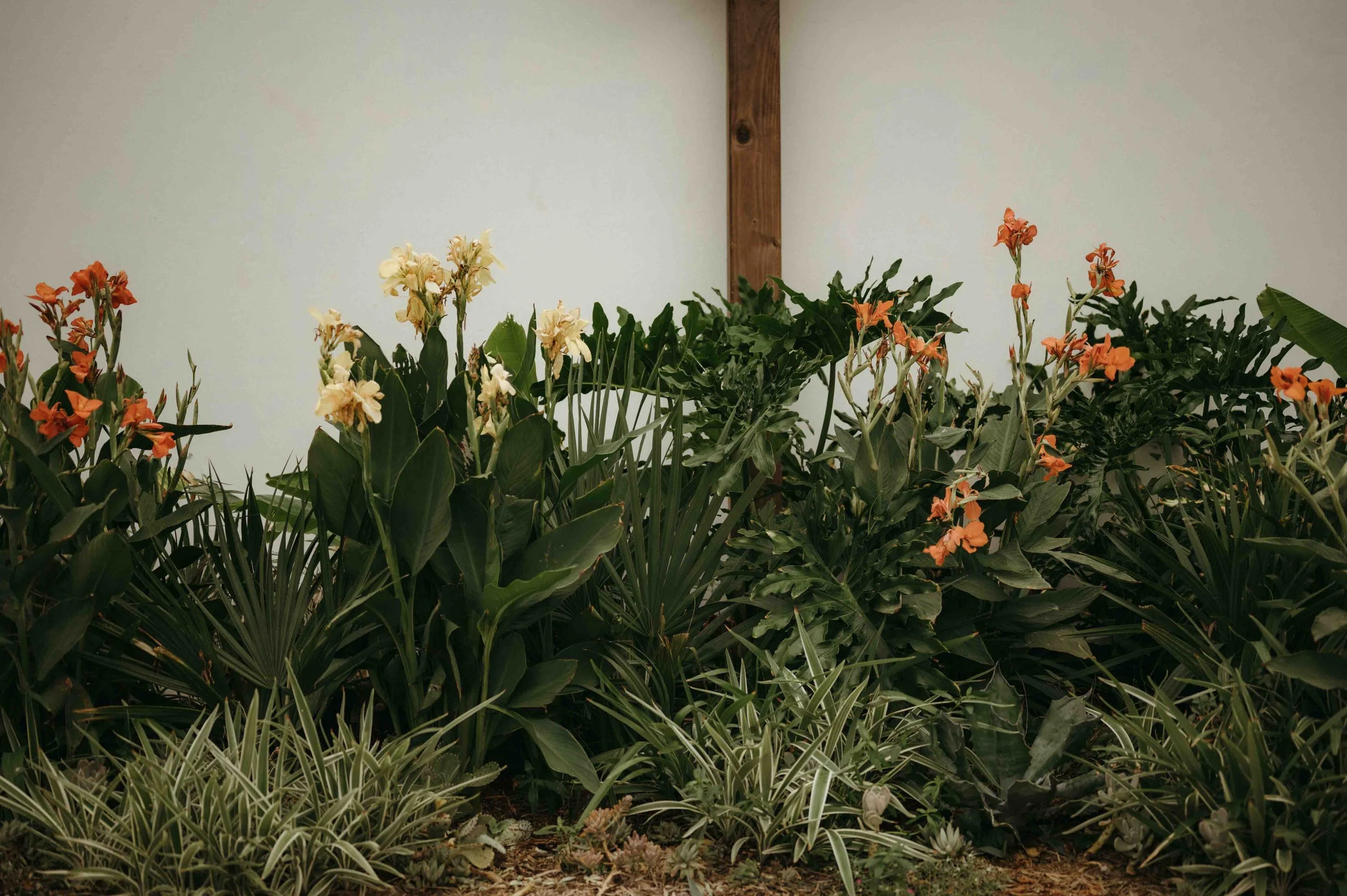 The Plant Jackson wedding, moody Jackson wedding photographer, cinematic Jackson wedding photographer, moody Memphis wedding photographer, cinematic Memphis wedding photographer, Jackson documentary wedding photographer, Memphis documentary wedding