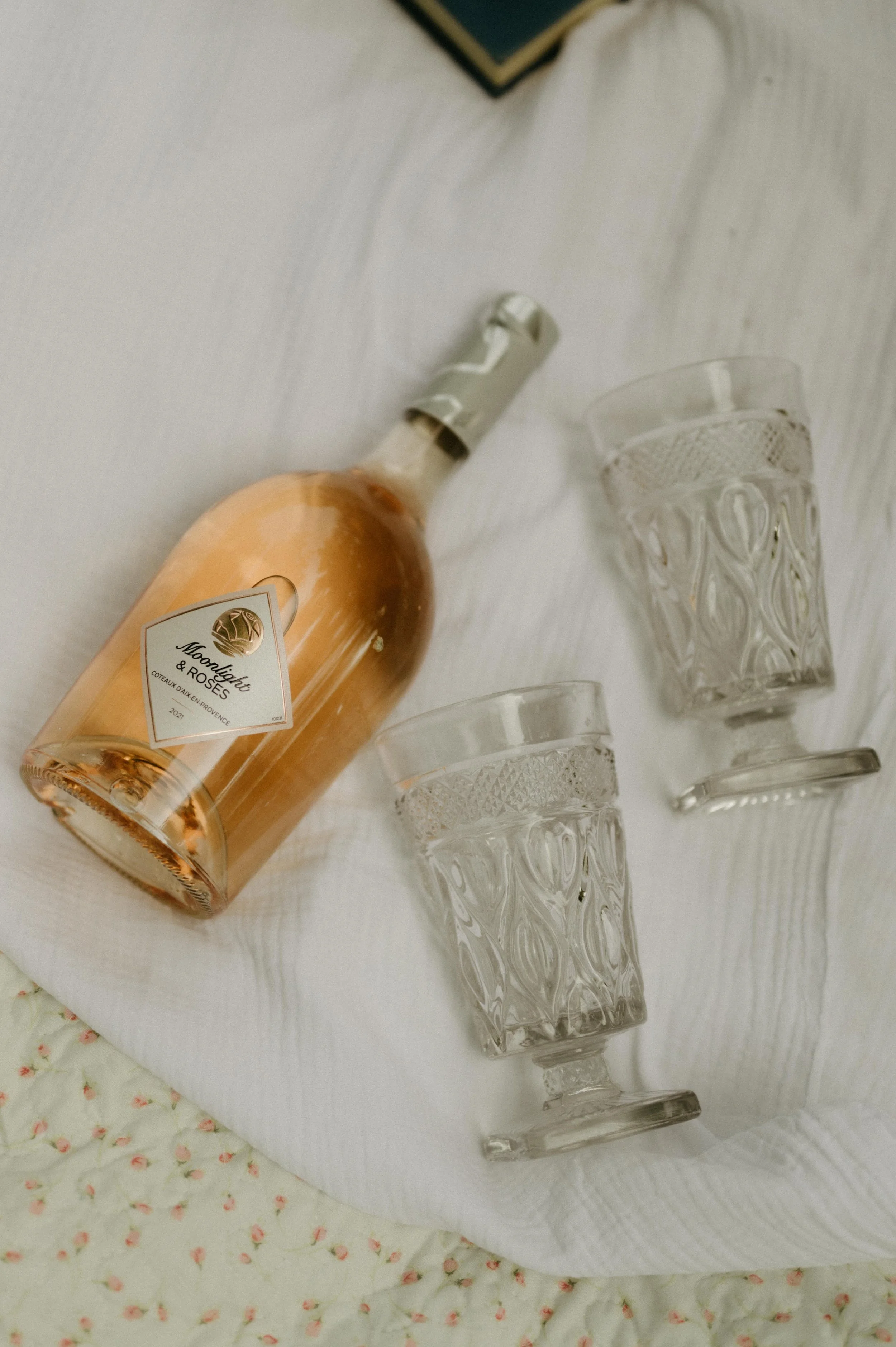 Picnic engagement session in Memphis Tennesse, moody Memphis wedding photographer, cinematic Memphis wedding photographer, Memphis documentary wedding photographer, Memphis engagement photos, Shelby Farms engagement photos