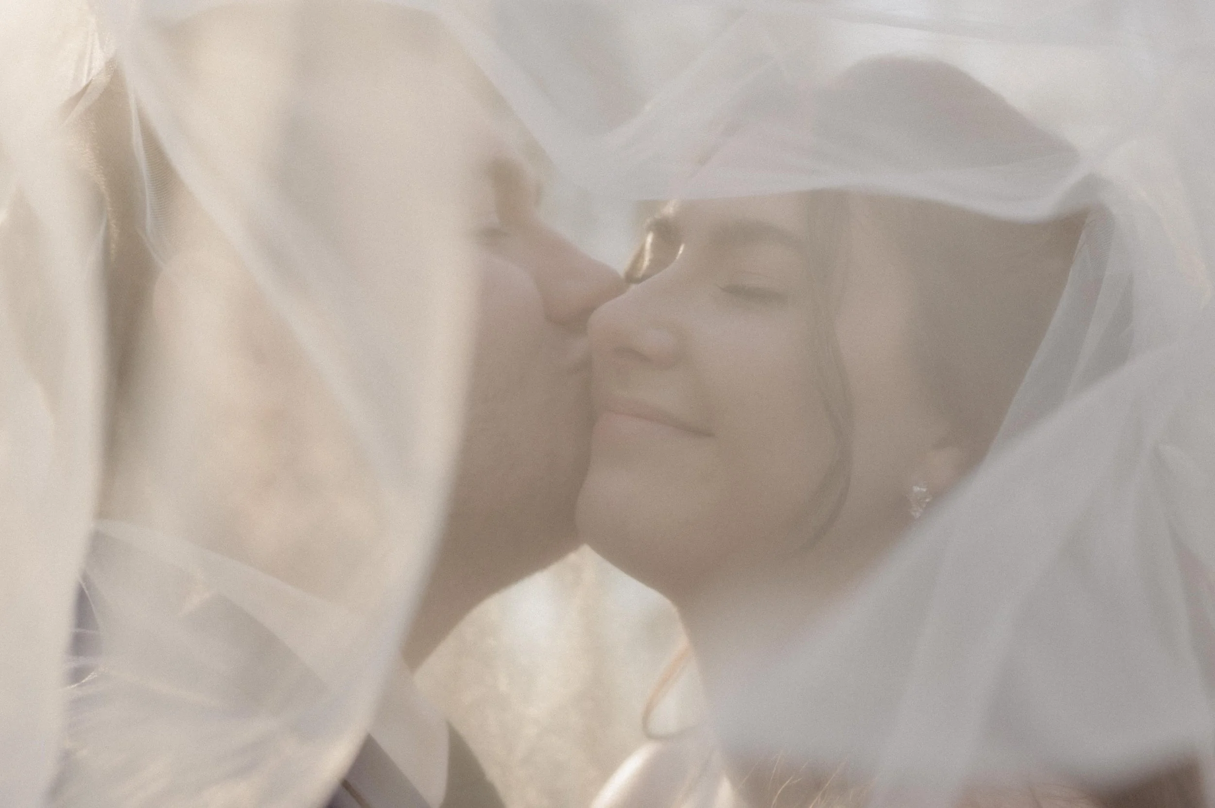 A groom kisses a bride on the cheek under a veil.